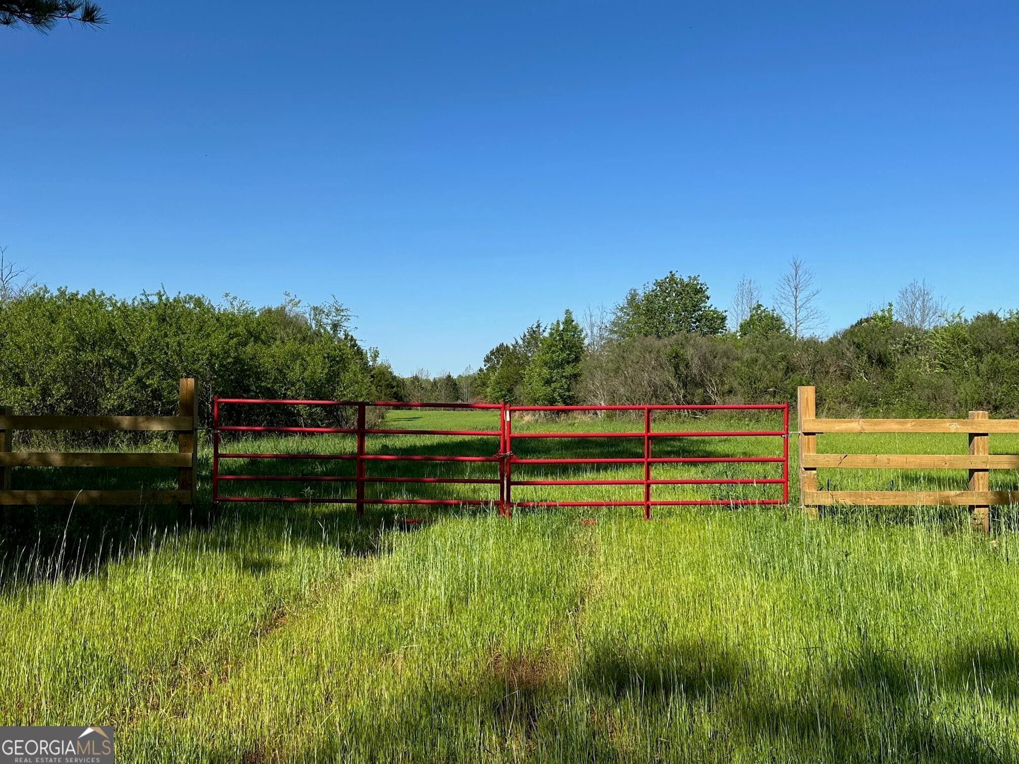 agriculture for sale at 0 West Road, Concord, GA 30206 — photo 6
