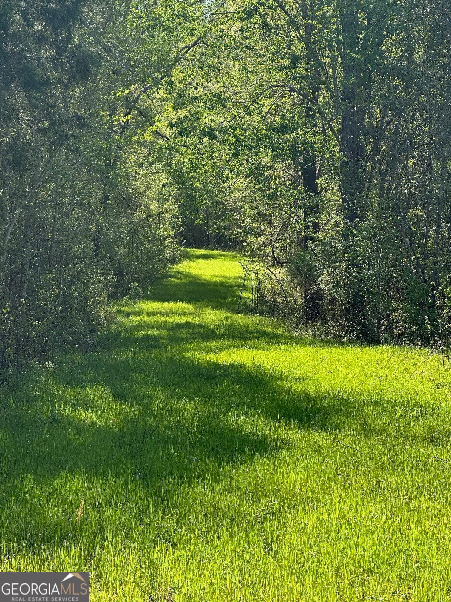 agriculture for sale at 0 West Road, Concord, GA 30206 — photo 3