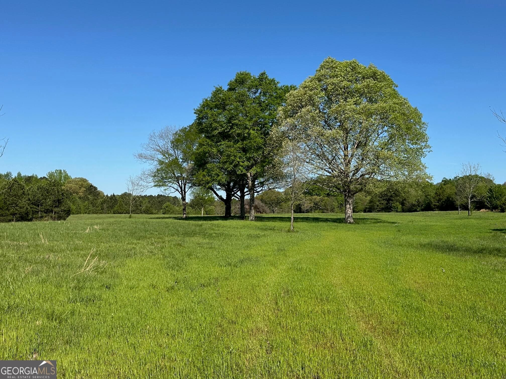 agriculture for sale at 0 West Road, Concord, GA 30206