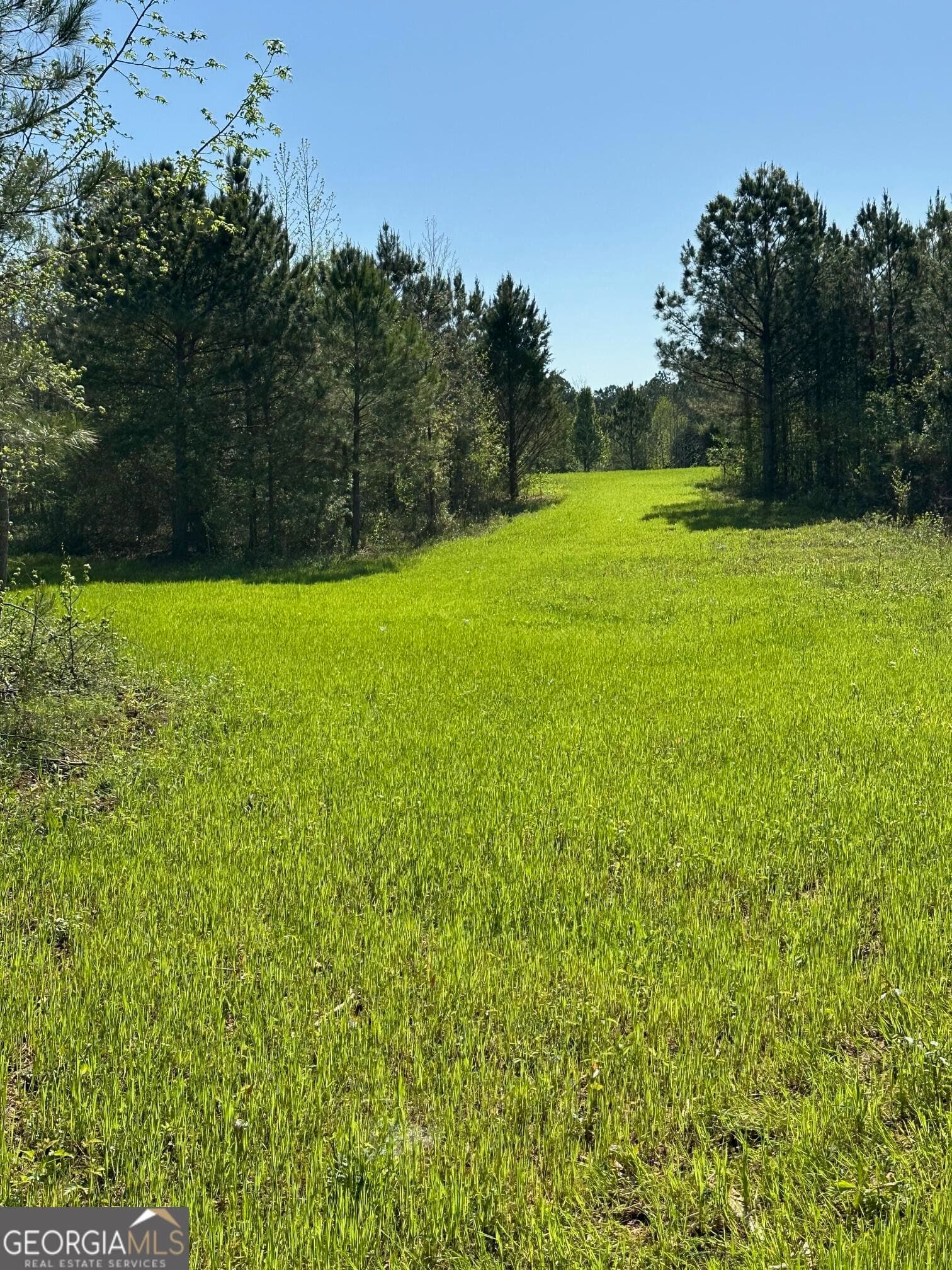 agriculture for sale at 0 West Road, Concord, GA 30206 — photo 9