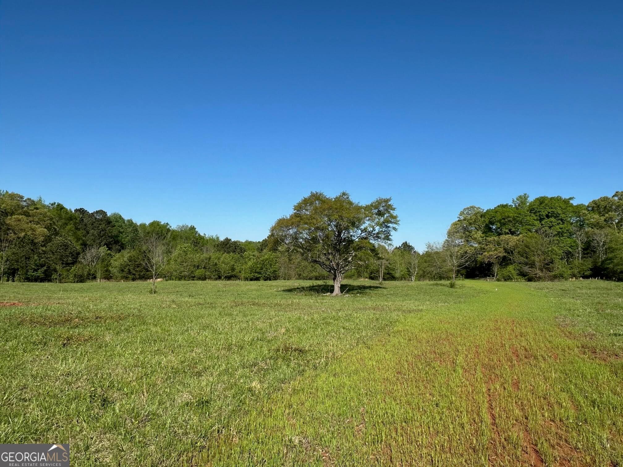 agriculture for sale at 0 West Road, Concord, GA 30206 — photo 10