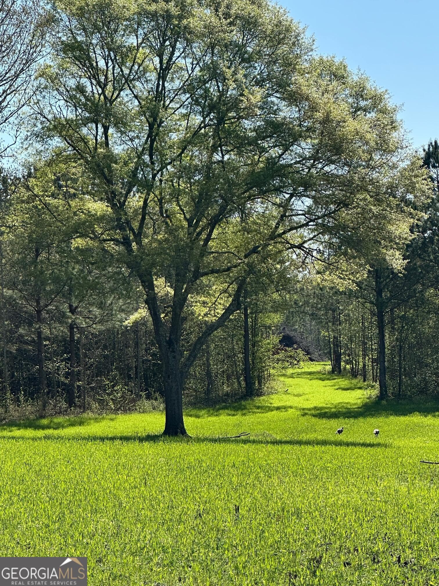 agriculture for sale at 0 West Road, Concord, GA 30206 — photo 4
