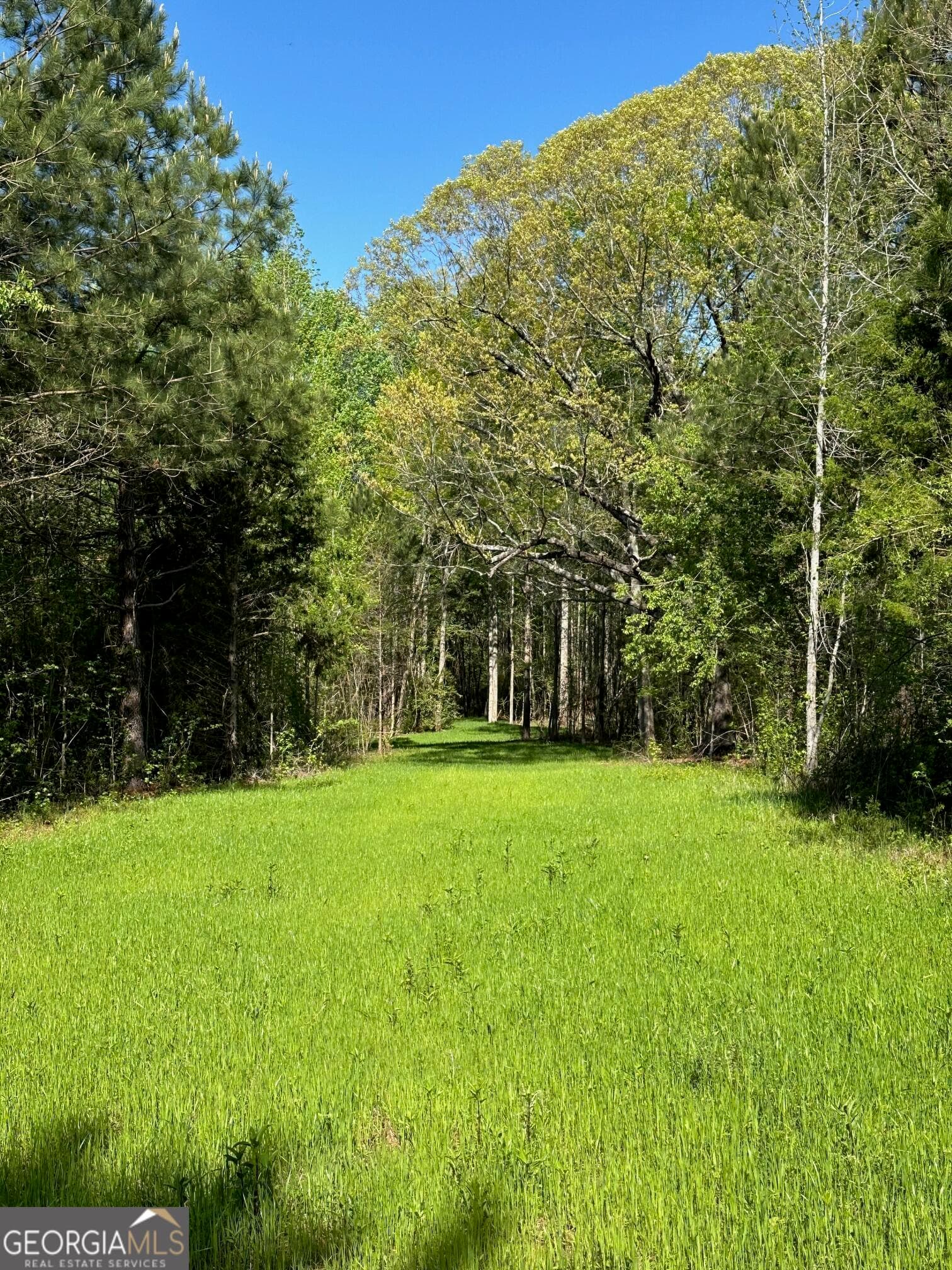agriculture for sale at 0 West Road, Concord, GA 30206 — photo 8