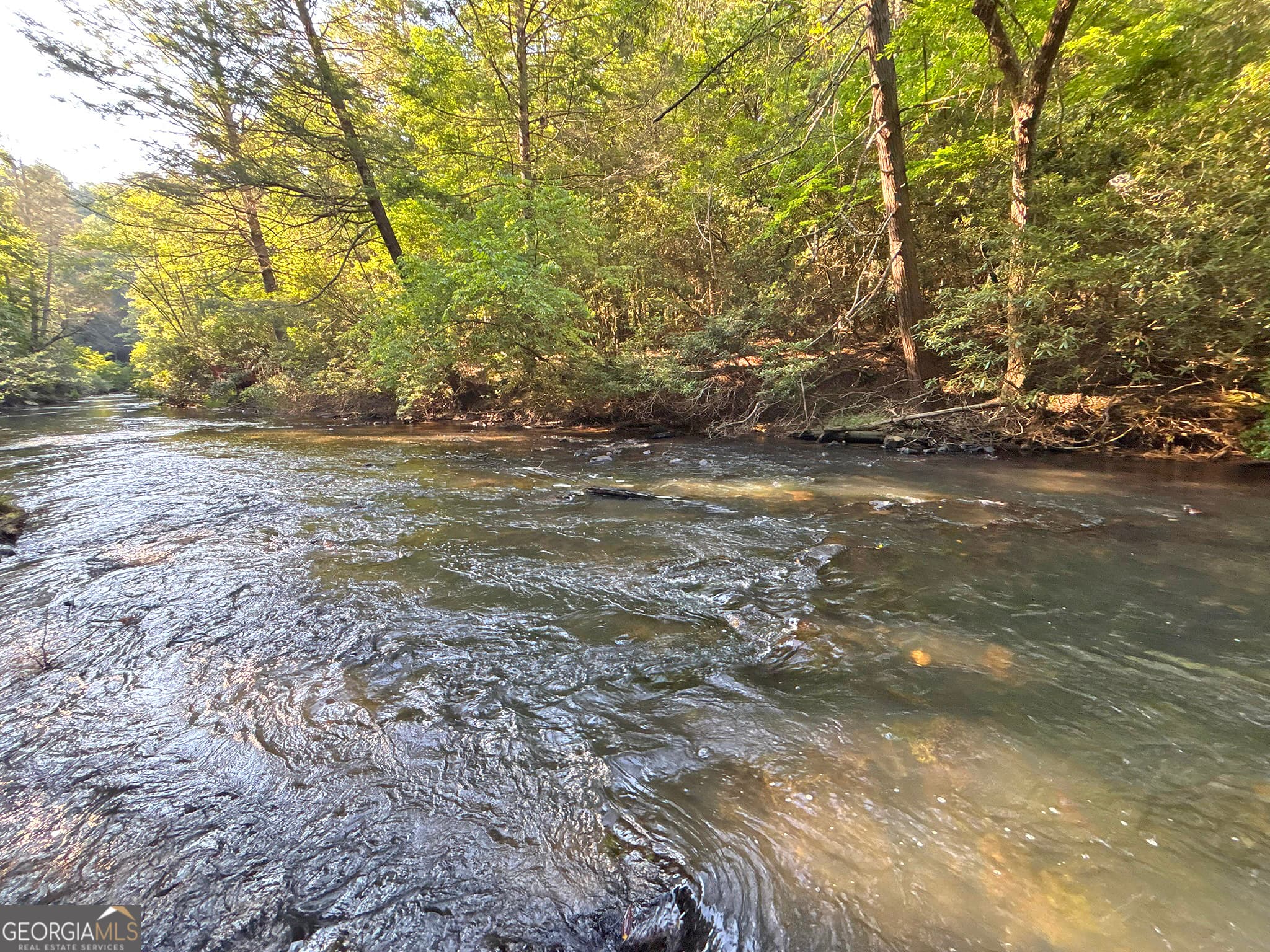residential lot for sale at LOTS2329 South Whitepath Circle, Ellijay, GA 30540 — photo 3