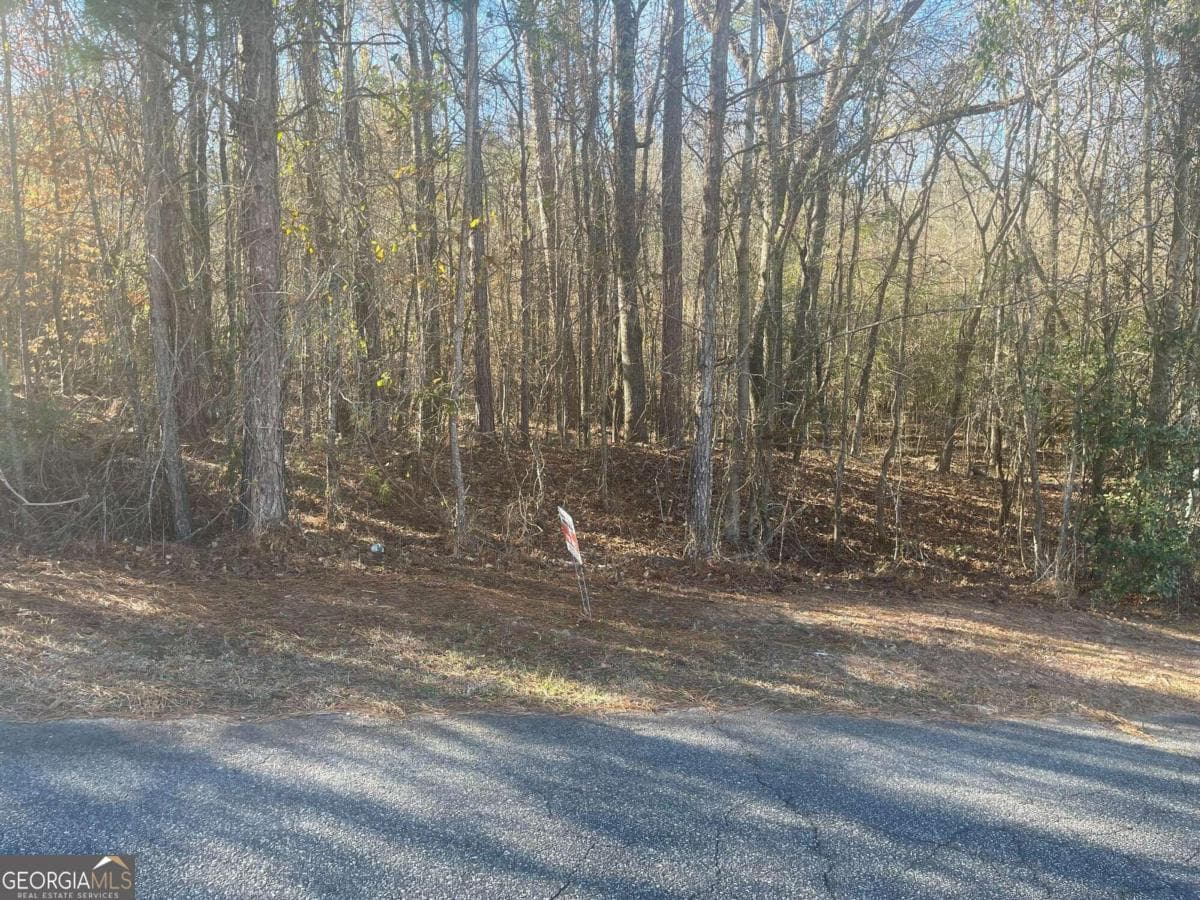 residential lot for sale at 309 Old Mast Cove, Lizella, GA 31052 — photo 5