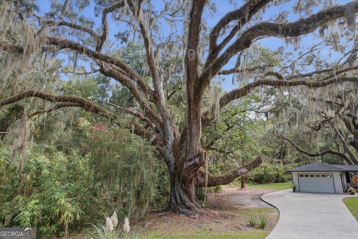 3 bedroom, 2.5 bathroom, 2,969 sq ft single family residence under contract at 651 Old Plantation Road, Jekyll Island, GA 31527 — photo 6