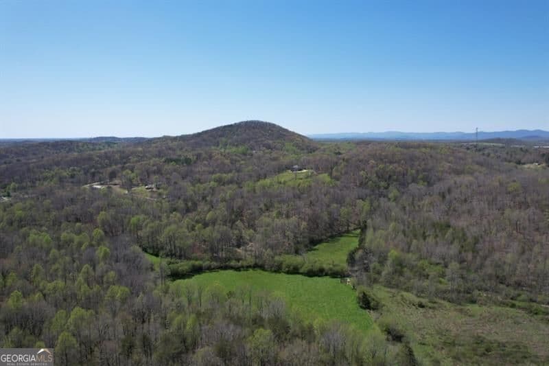 unimproved land for sale at 0 Post White Hill Road, Murrayville, GA 30564 — photo 2
