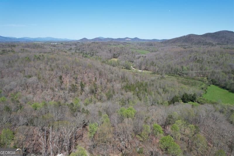 unimproved land for sale at 0 Post White Hill Road, Murrayville, GA 30564 — photo 6
