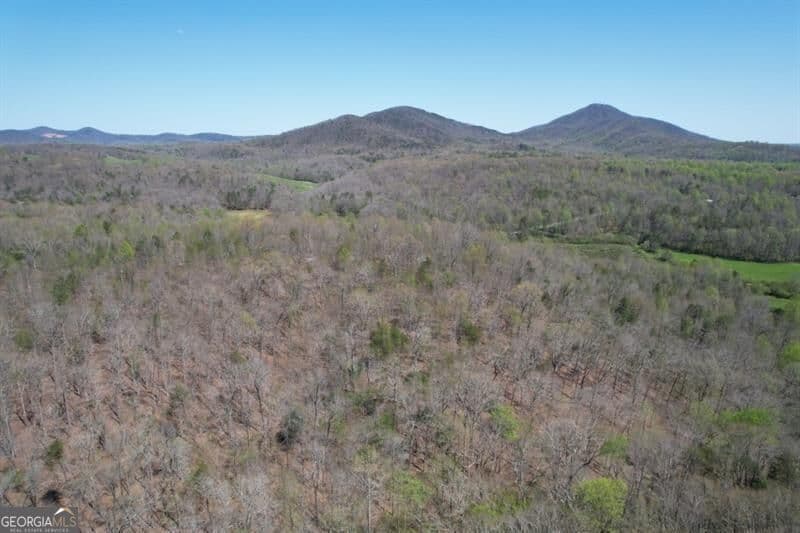 unimproved land for sale at 0 Post White Hill Road, Murrayville, GA 30564 — photo 7