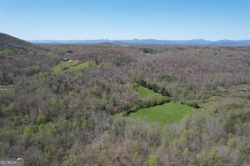 unimproved land for sale at 0 Post White Hill Road, Murrayville, GA 30564 — photo 3
