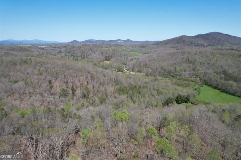 unimproved land for sale at 0 Post White Hill Road, Murrayville, GA 30564 — photo 5