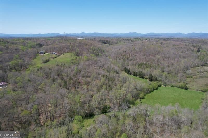 unimproved land for sale at 0 Post White Hill Road, Murrayville, GA 30564 — photo 4
