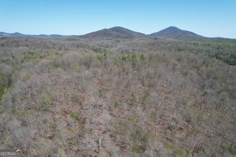 unimproved land for sale at 0 Post White Hill Road, Murrayville, GA 30564 — photo 8