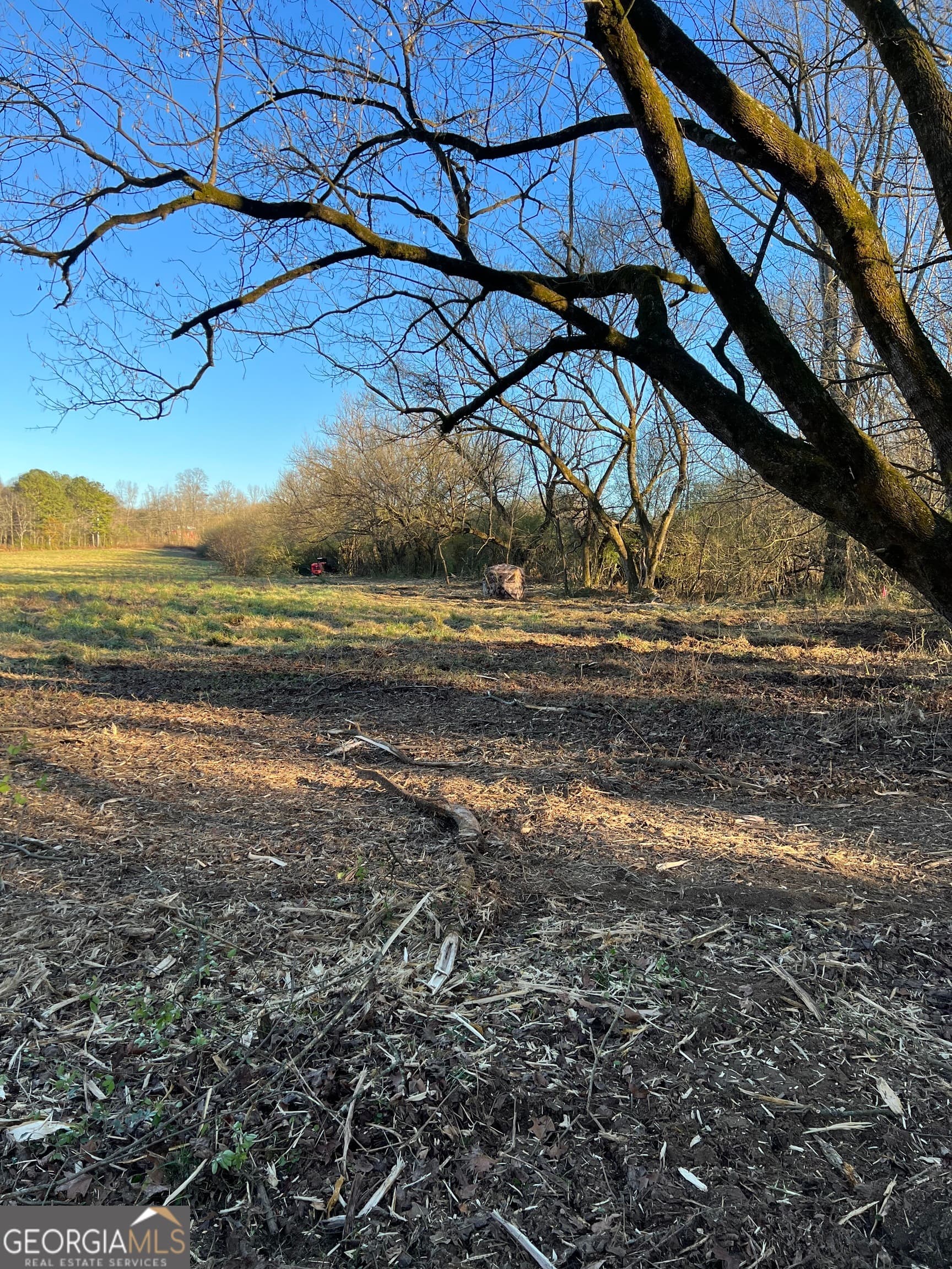 agriculture for sale at 200 Willow Lane, Talking Rock, GA 30175 — photo 7