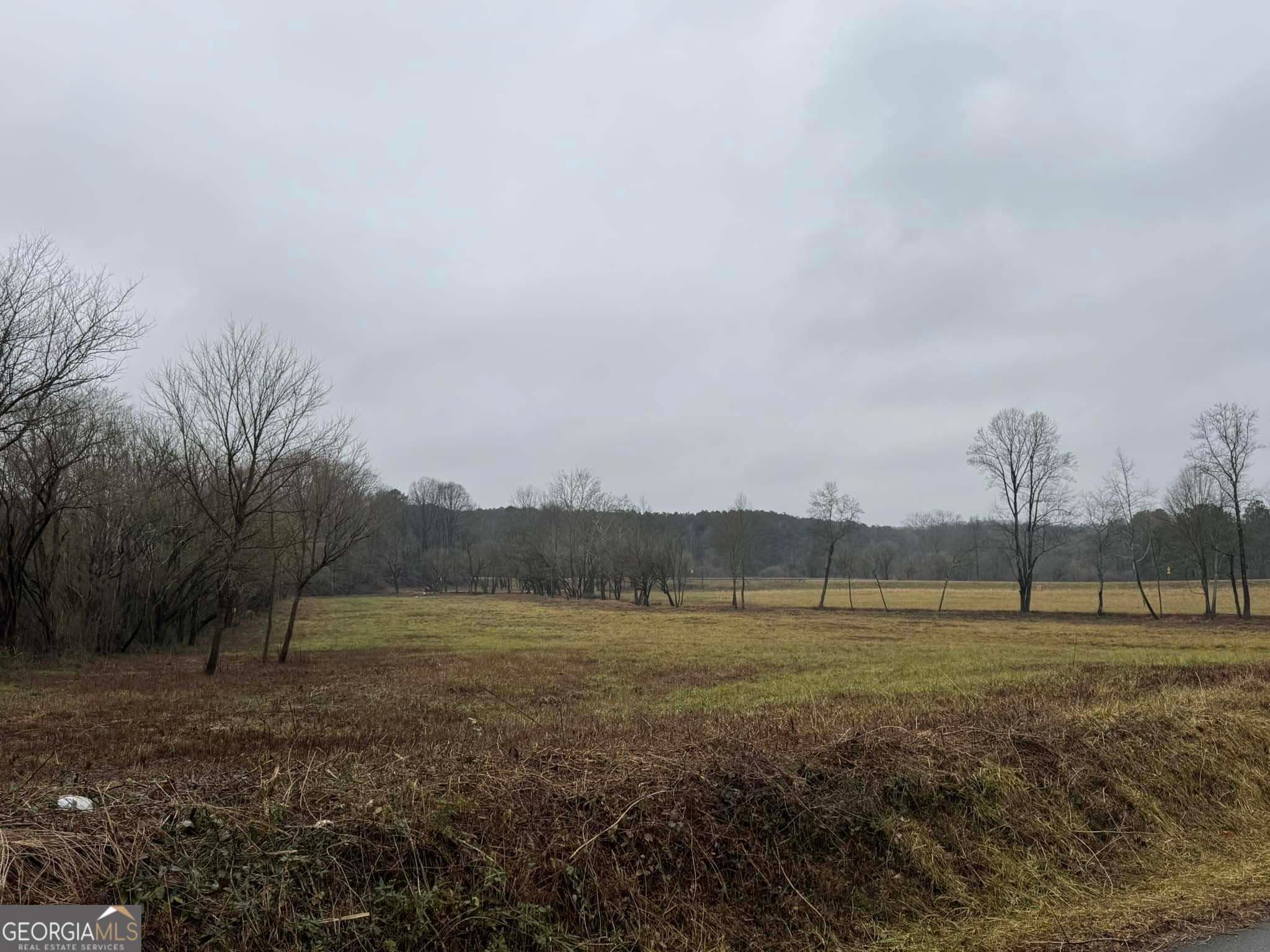 agriculture for sale at 200 Willow Lane, Talking Rock, GA 30175 — photo 3