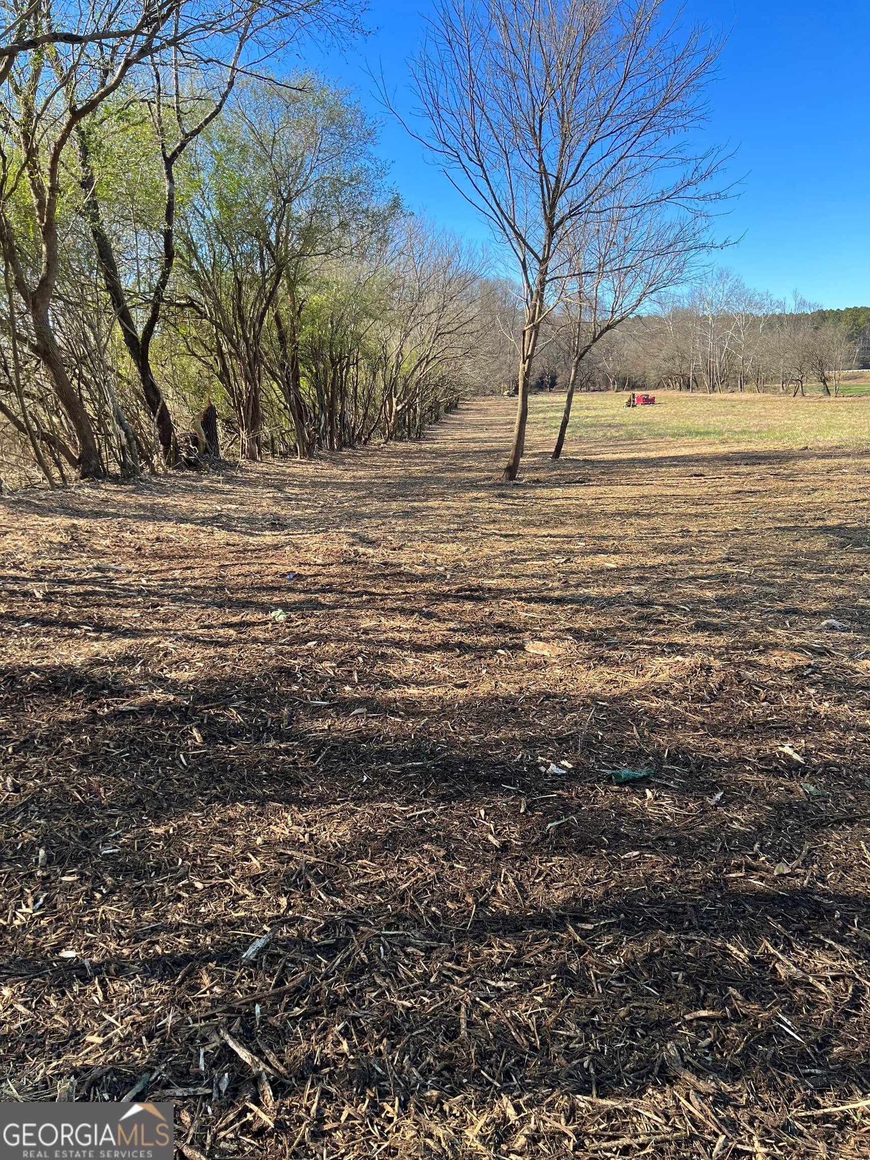 agriculture for sale at 200 Willow Lane, Talking Rock, GA 30175 — photo 5