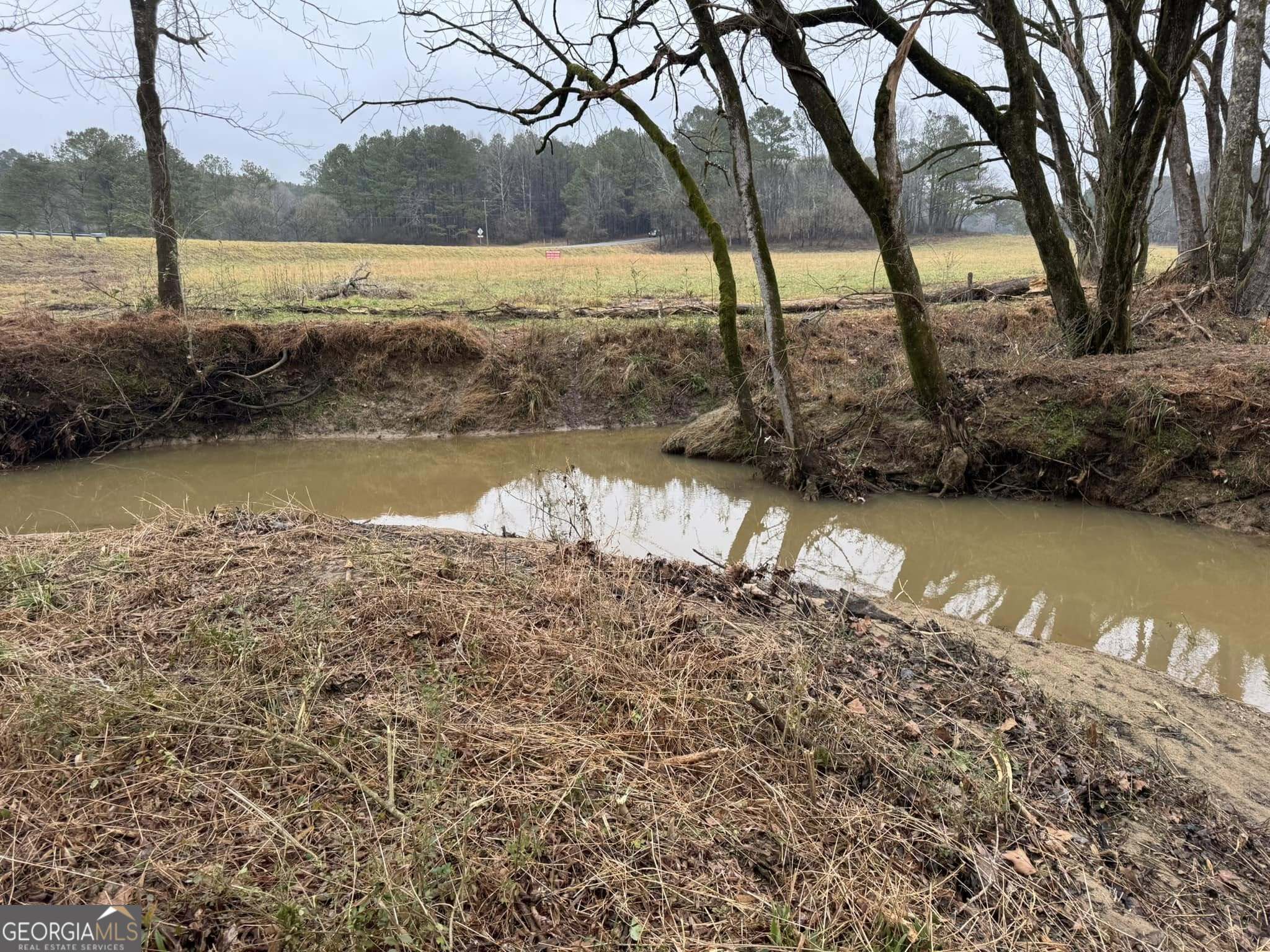 agriculture for sale at 200 Willow Lane, Talking Rock, GA 30175 — photo 4