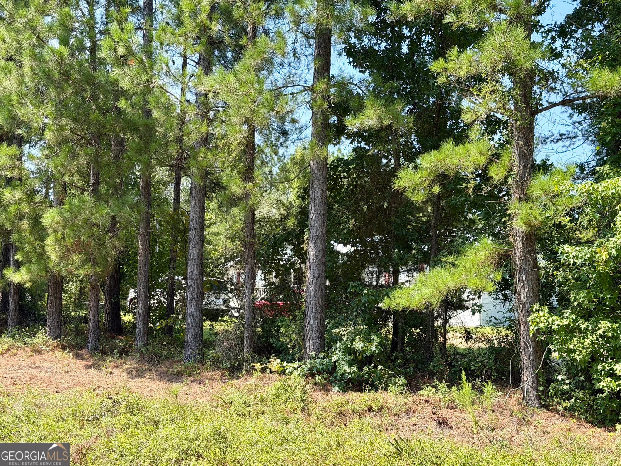 4 bedroom, 2 bathroom, 1,560 sq ft manufactured home,single family residence for sale at 869 Orianna Road, East Dublin, GA 31027 — photo 7