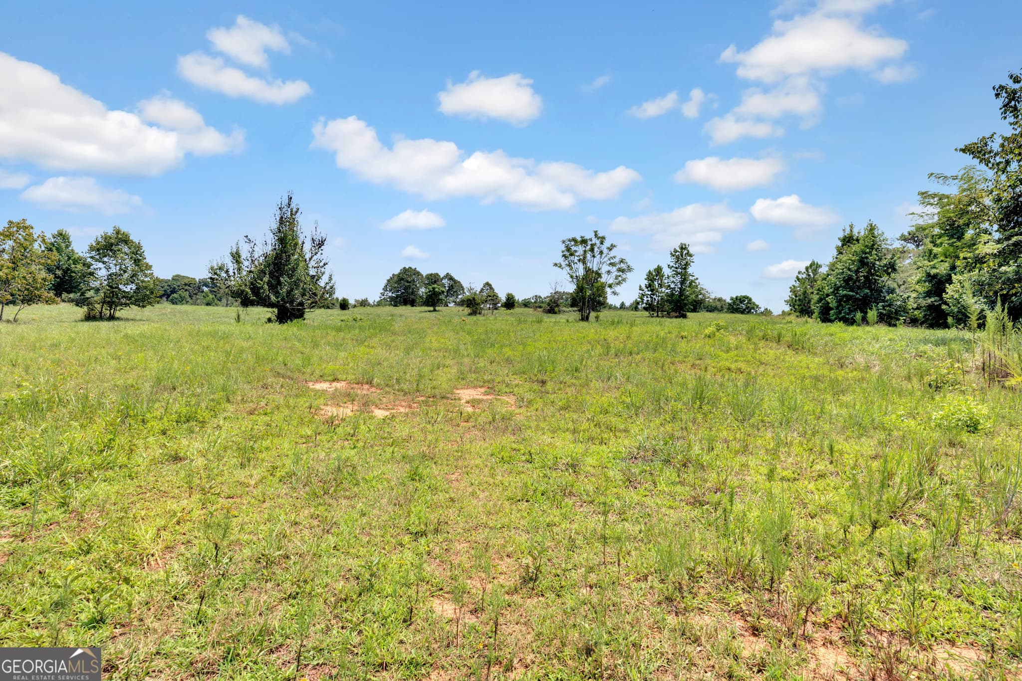 unimproved land for sale at 2361 Salem Road, Watkinsville, GA 30677 — photo 6