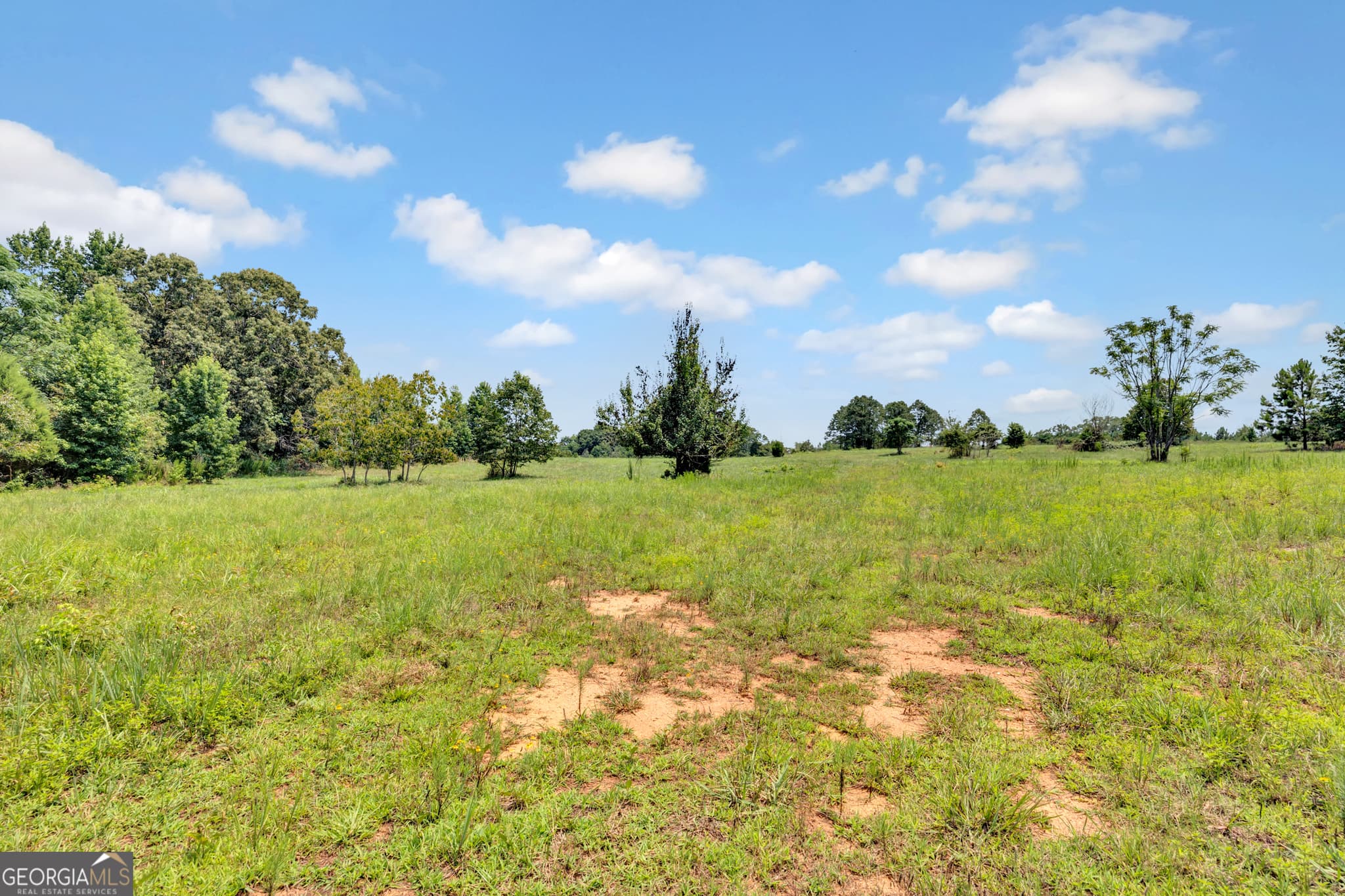 unimproved land for sale at 2361 Salem Road, Watkinsville, GA 30677 — photo 7