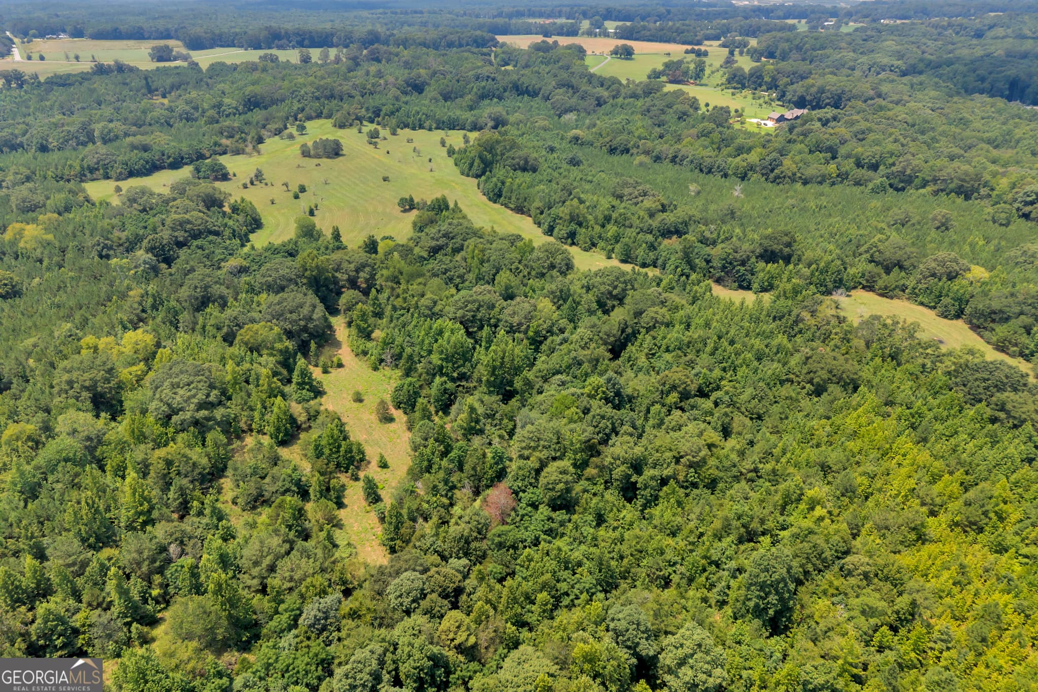 unimproved land for sale at 2361 Salem Road, Watkinsville, GA 30677 — photo 3