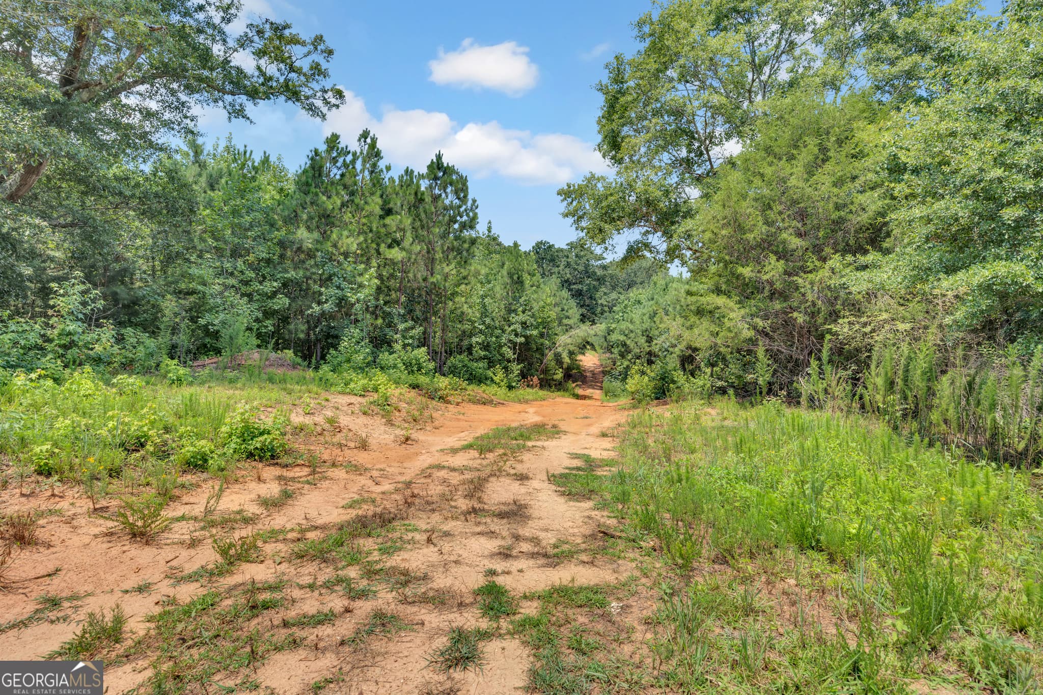 unimproved land for sale at 2361 Salem Road, Watkinsville, GA 30677 — photo 5