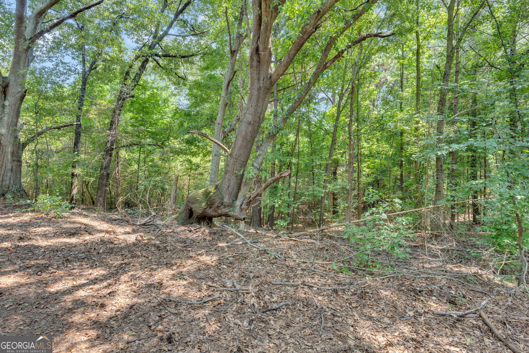 unimproved land for sale at 2361 Salem Road, Watkinsville, GA 30677 — photo 9