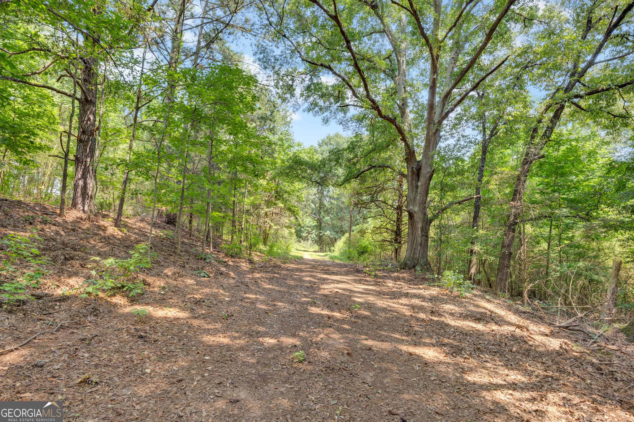 unimproved land for sale at 2361 Salem Road, Watkinsville, GA 30677 — photo 8