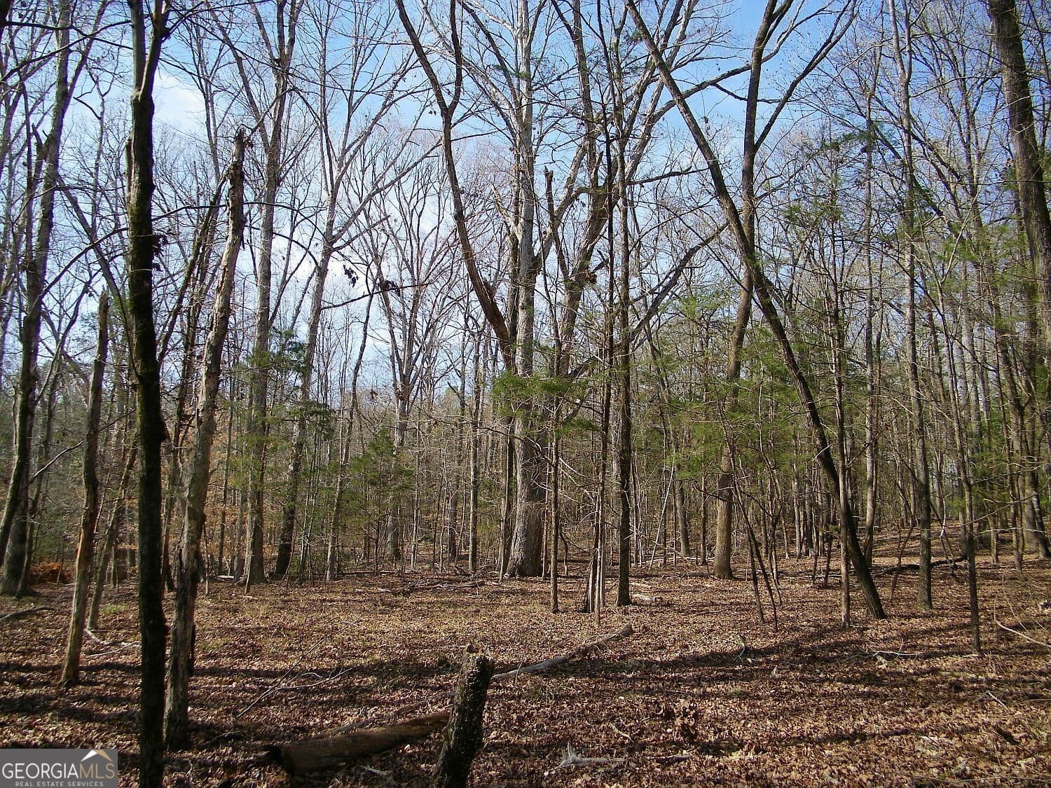 residential lot for sale at LOT 26 Benjamin Brown Court, Elberton, GA 30635 — photo 2