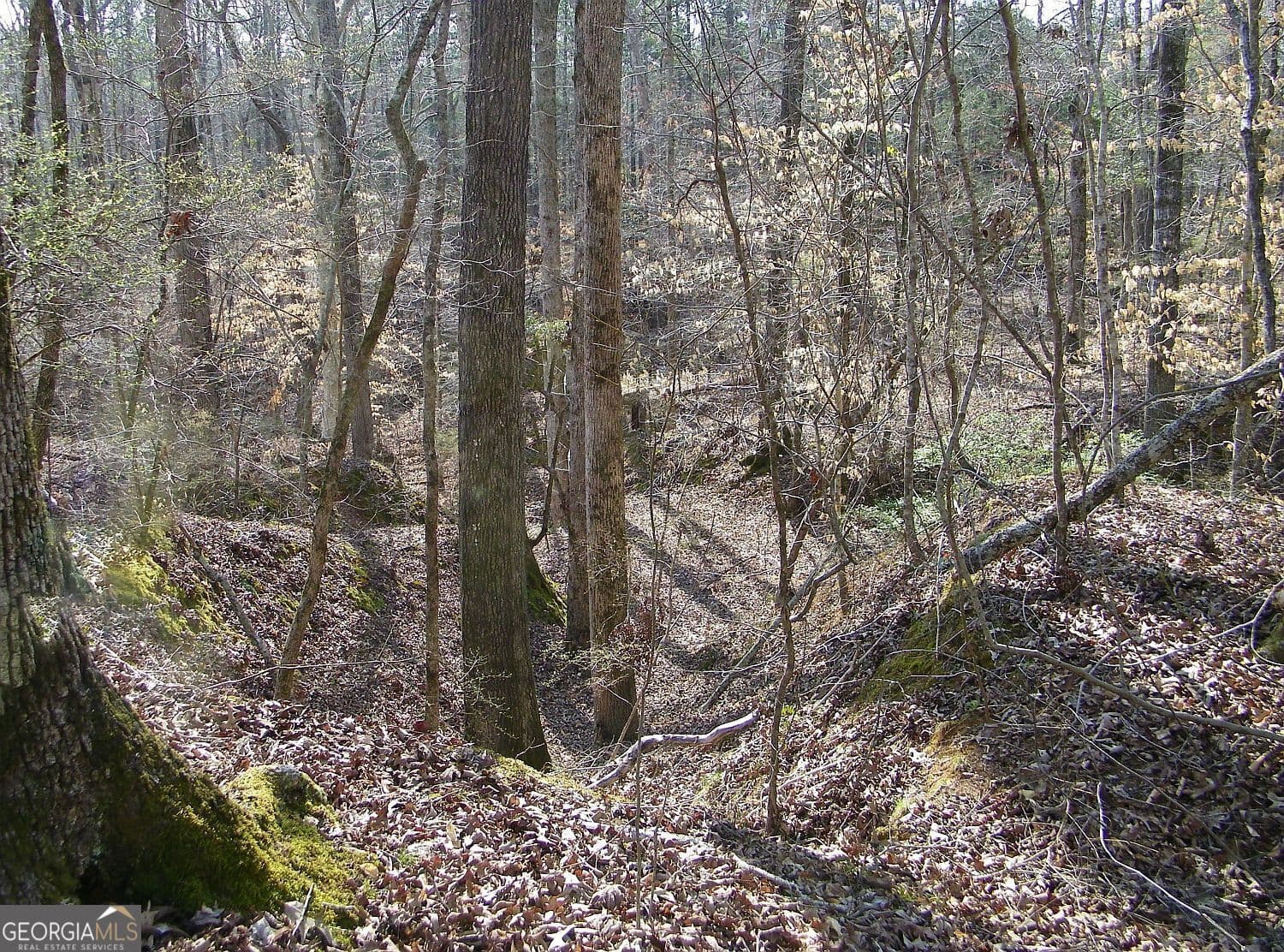residential lot for sale at LOT 26 Benjamin Brown Court, Elberton, GA 30635 — photo 6