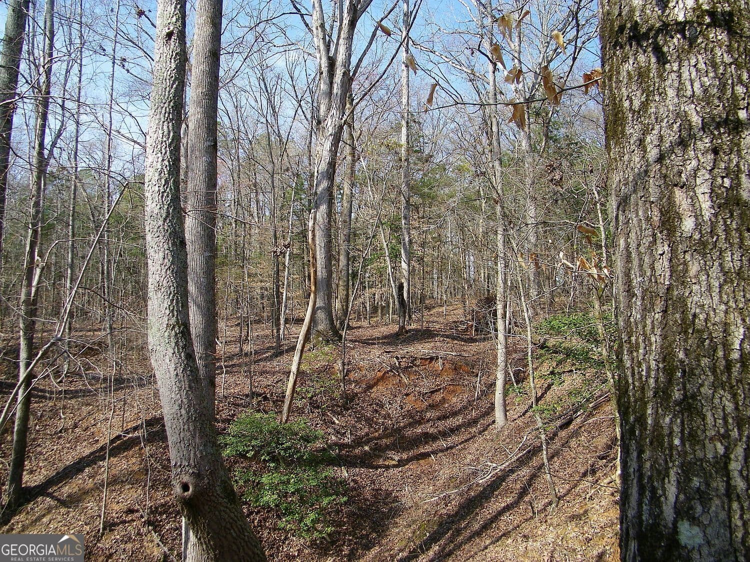 residential lot for sale at LOT 26 Benjamin Brown Court, Elberton, GA 30635 — photo 3
