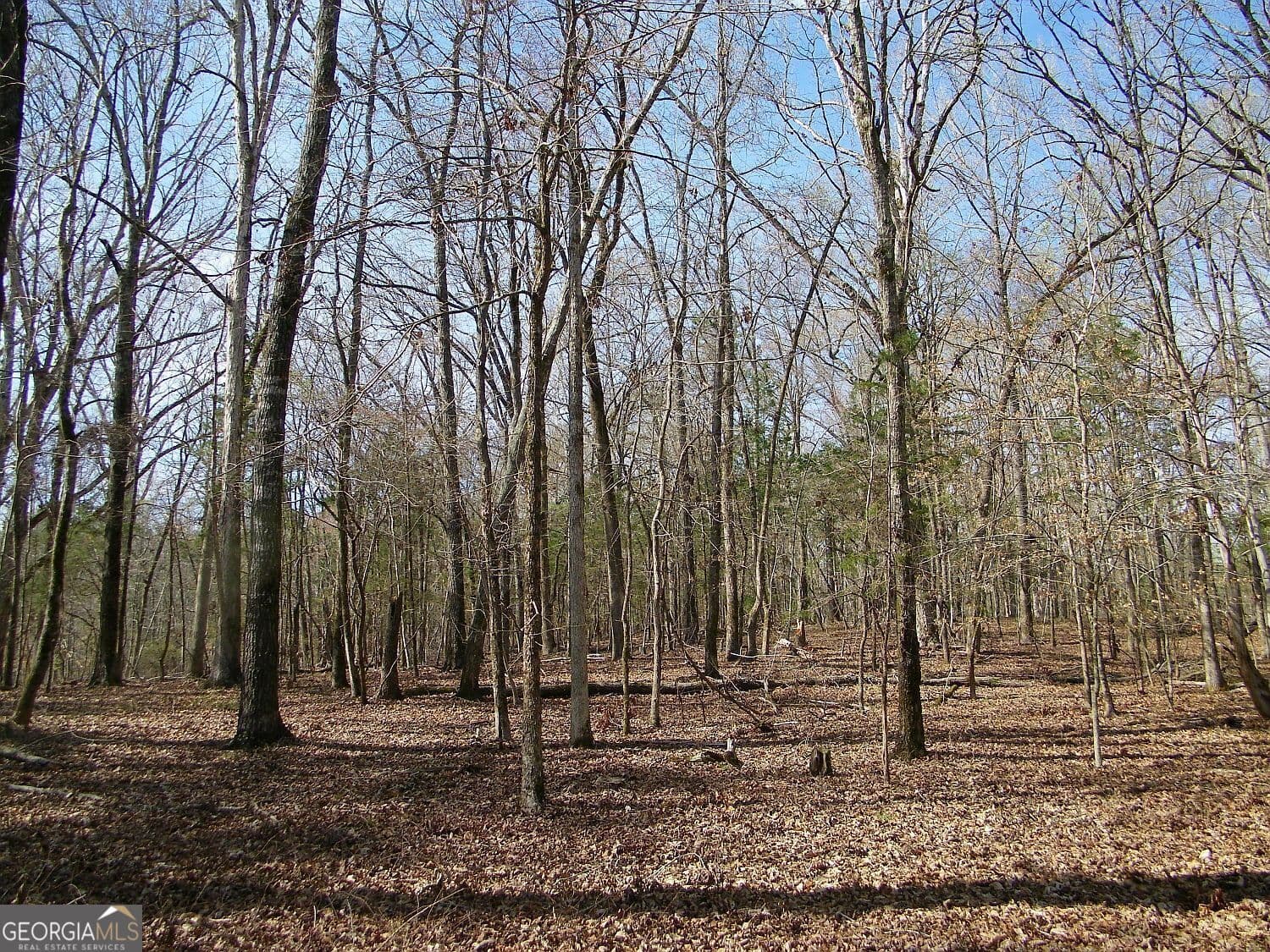 residential lot for sale at LOT 26 Benjamin Brown Court, Elberton, GA 30635 — photo 1 of 12