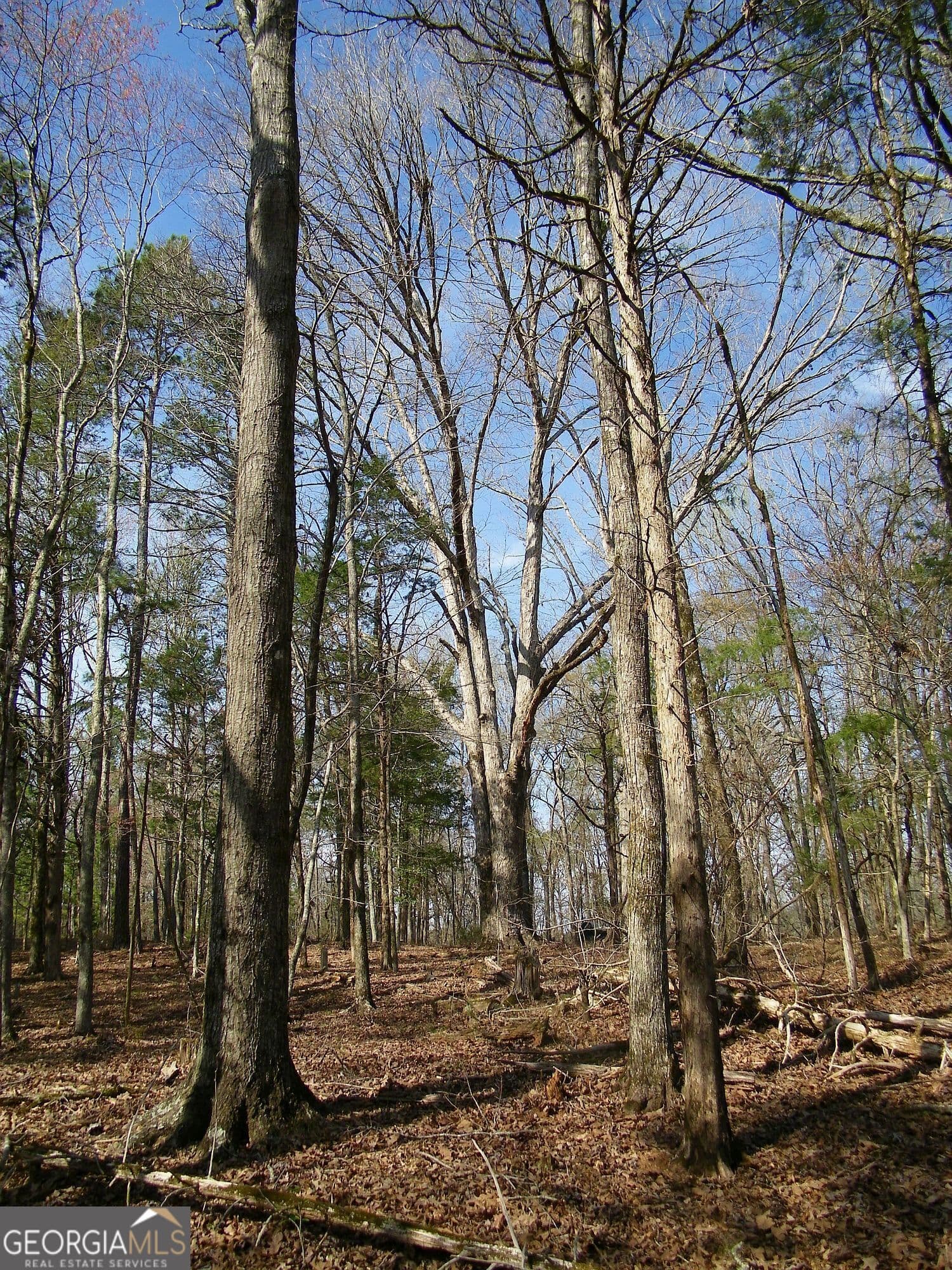 residential lot for sale at LOT 26 Benjamin Brown Court, Elberton, GA 30635 — photo 5