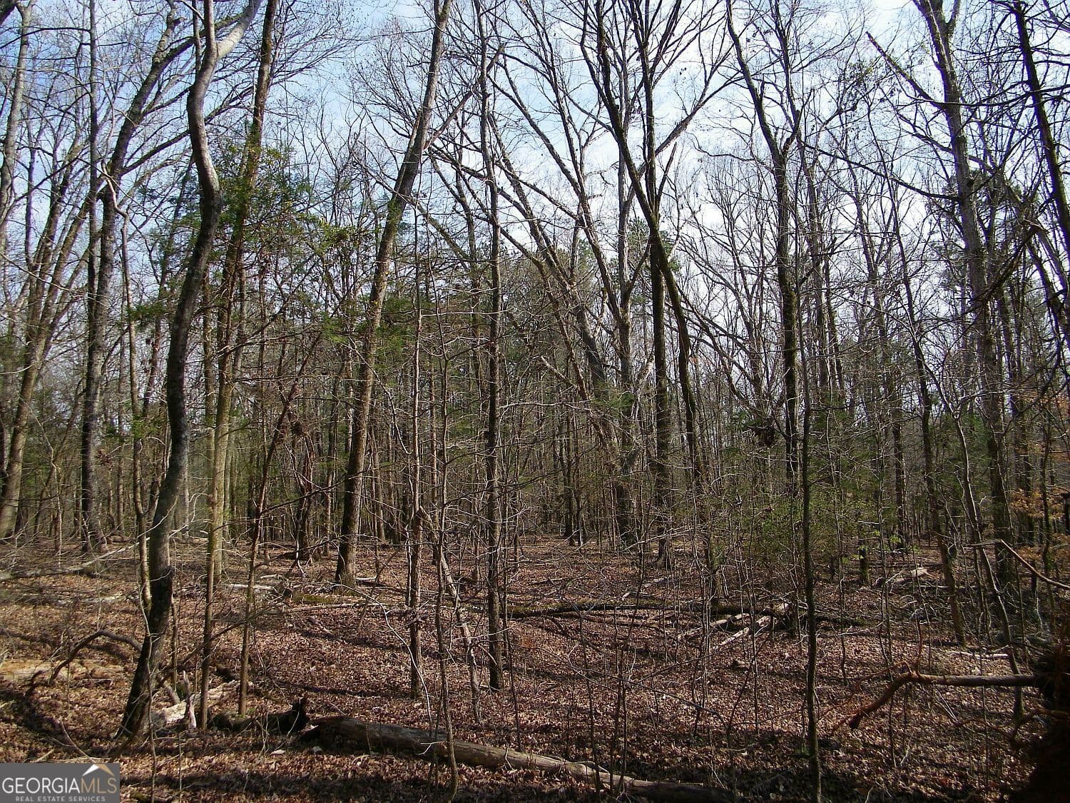 residential lot for sale at LOT 26 Benjamin Brown Court, Elberton, GA 30635 — photo 4