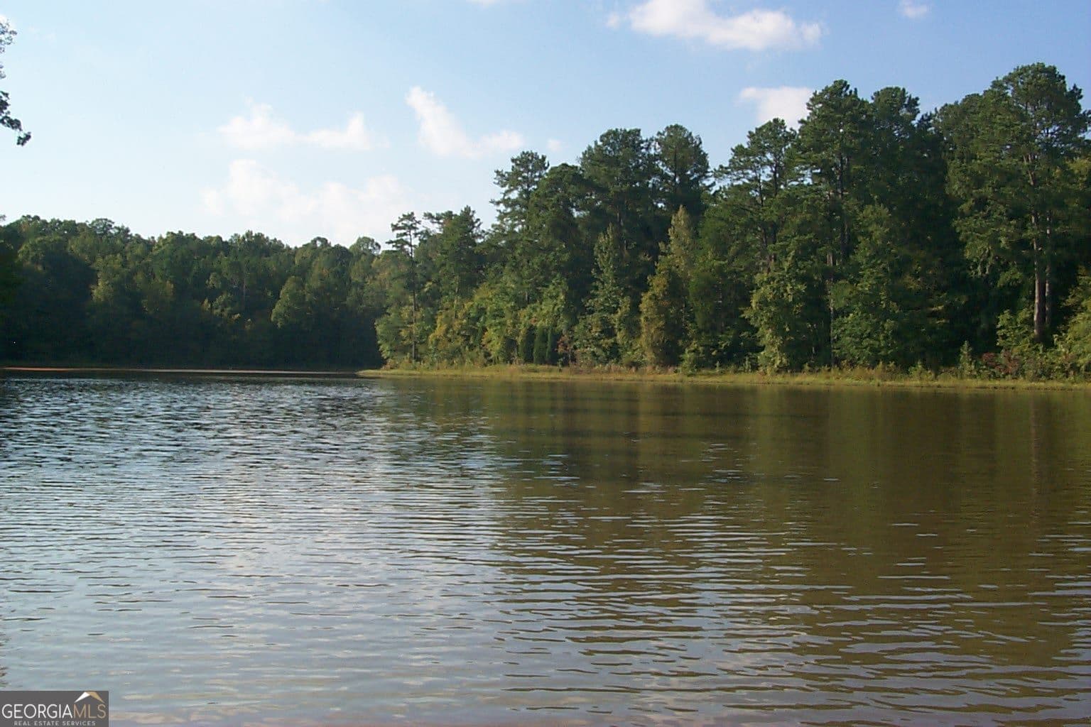 residential lot for sale at LOT 26 Benjamin Brown Court, Elberton, GA 30635 — photo 8