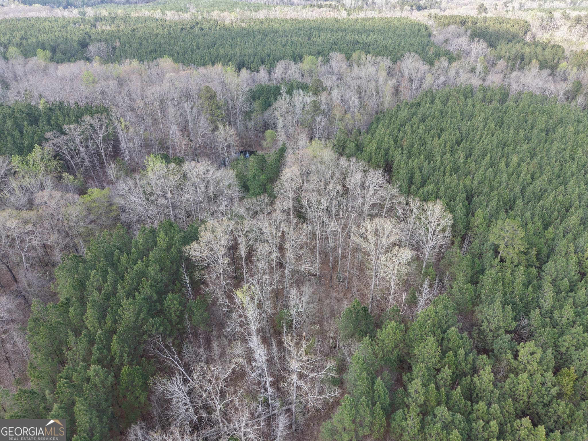 agriculture for sale at 1929 Sharon Road, Crawfordville, GA 30631 — photo 6