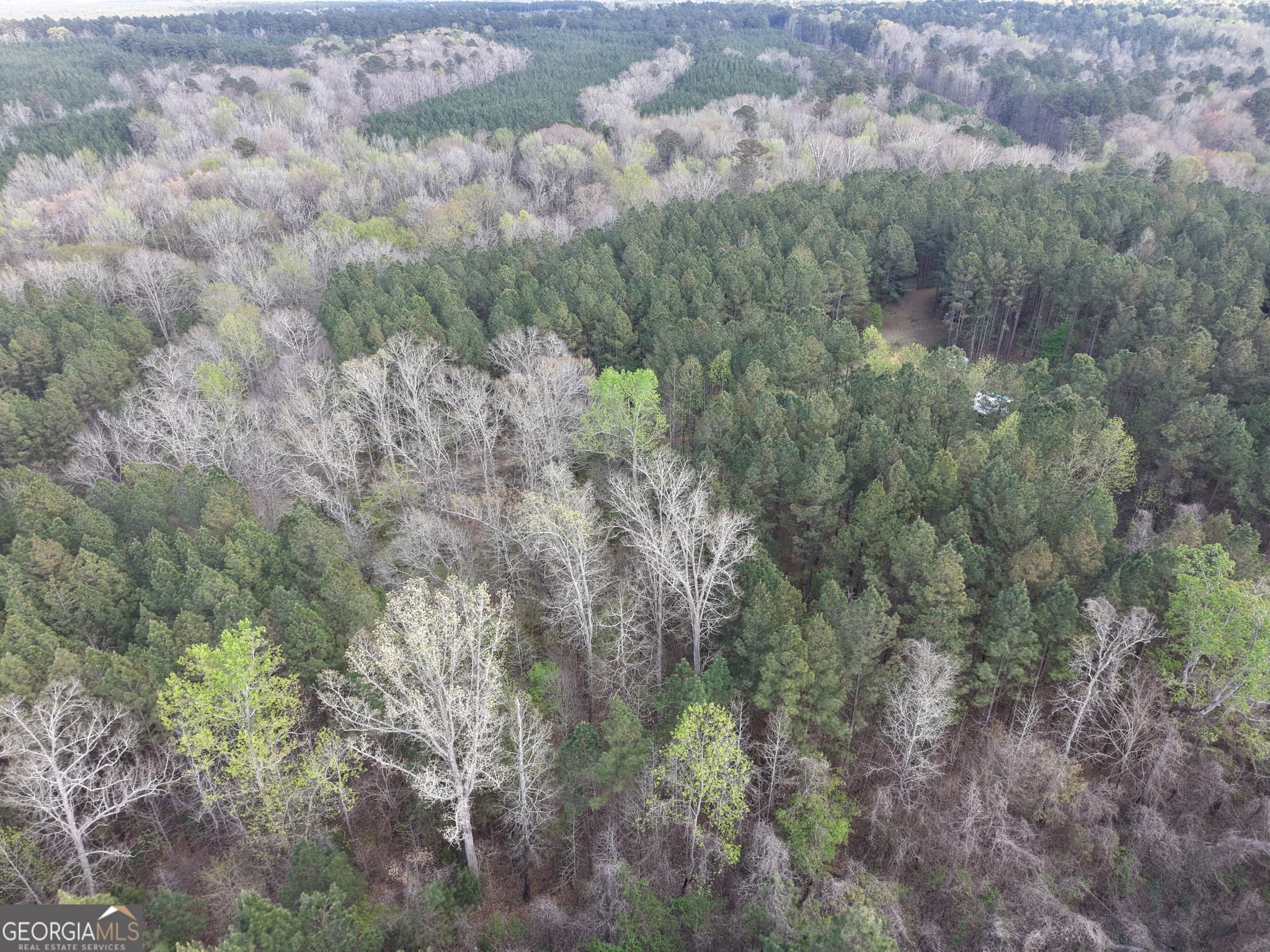 agriculture for sale at 1929 Sharon Road, Crawfordville, GA 30631 — photo 7