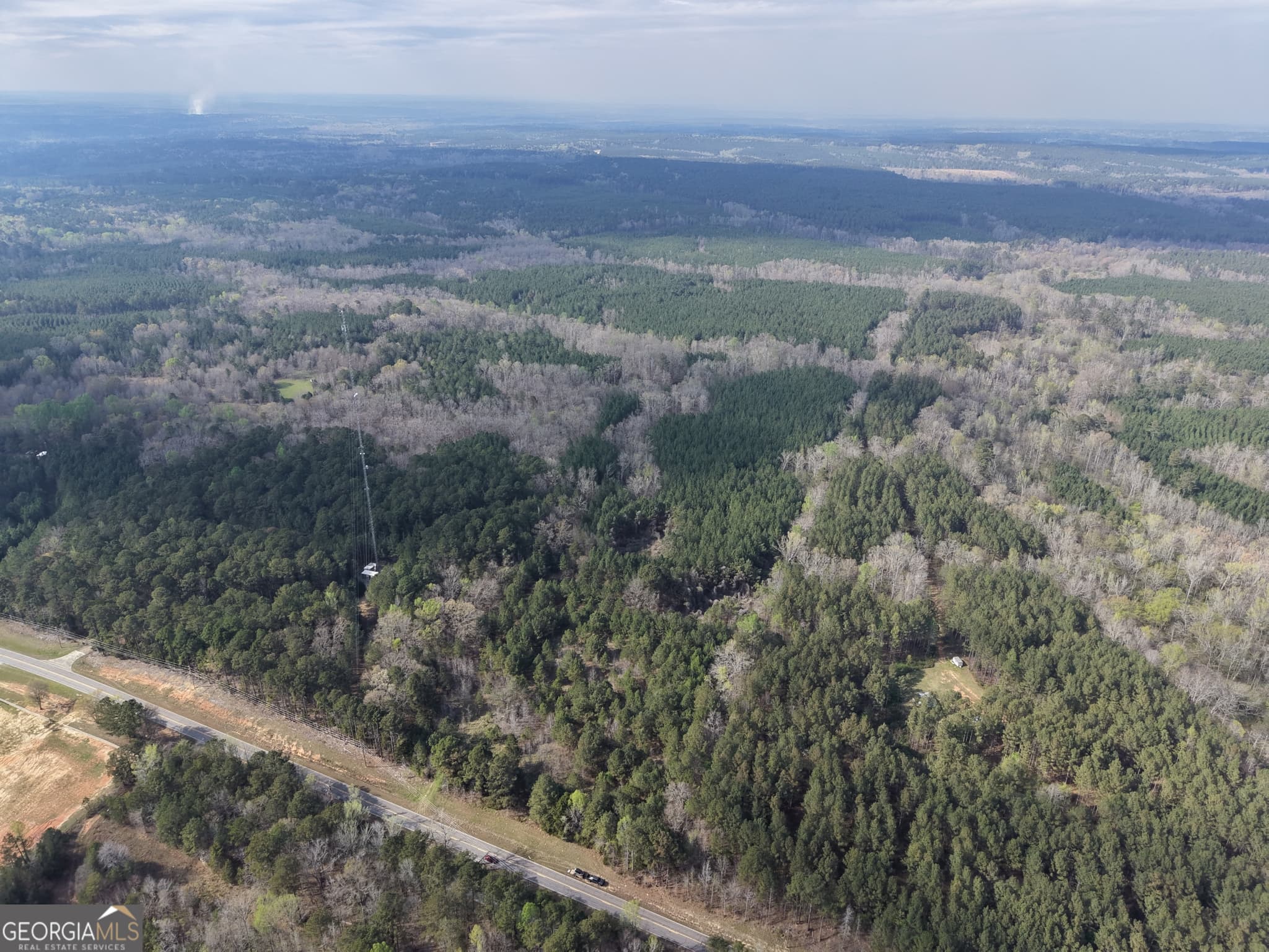 agriculture for sale at 1929 Sharon Road, Crawfordville, GA 30631 — photo 3