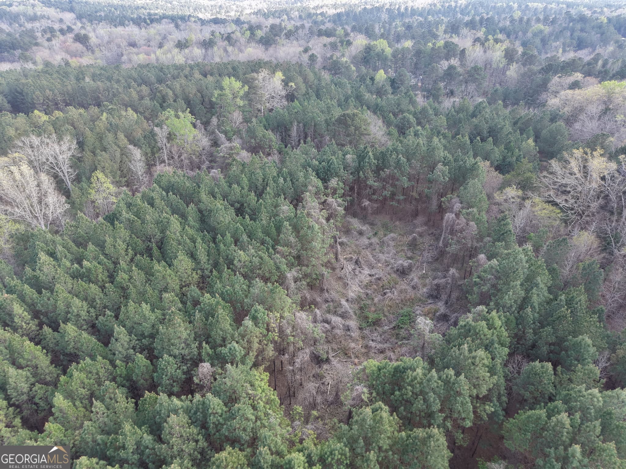agriculture for sale at 1929 Sharon Road, Crawfordville, GA 30631 — photo 5