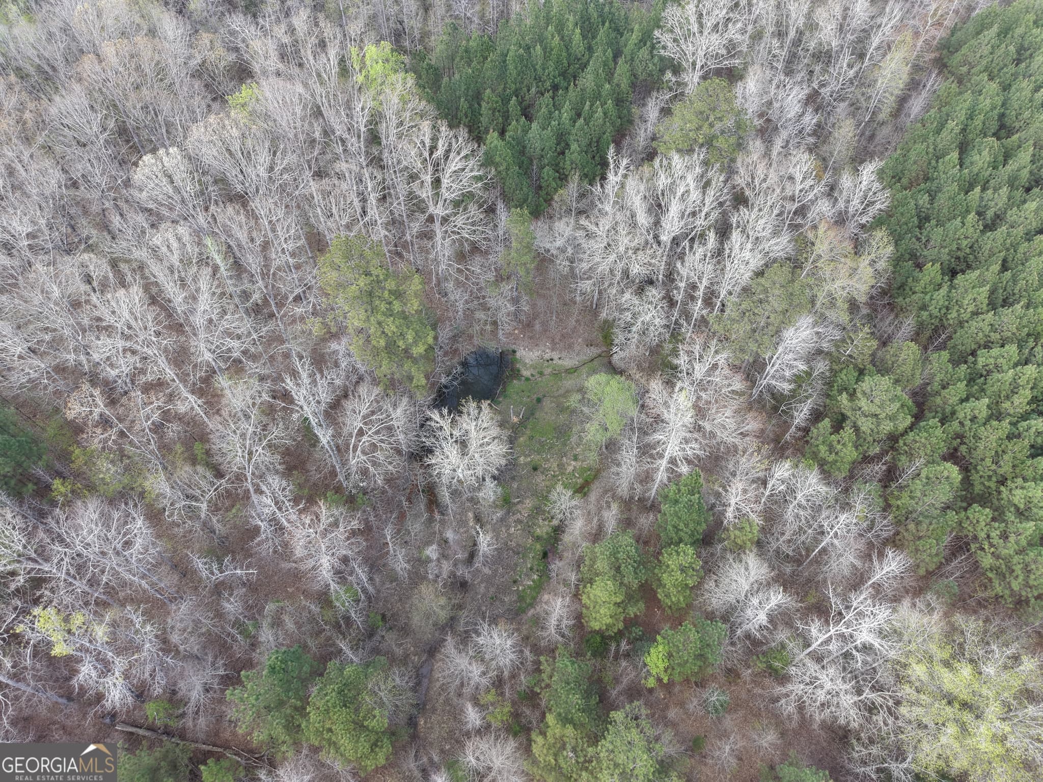 agriculture for sale at 1929 Sharon Road, Crawfordville, GA 30631 — photo 9