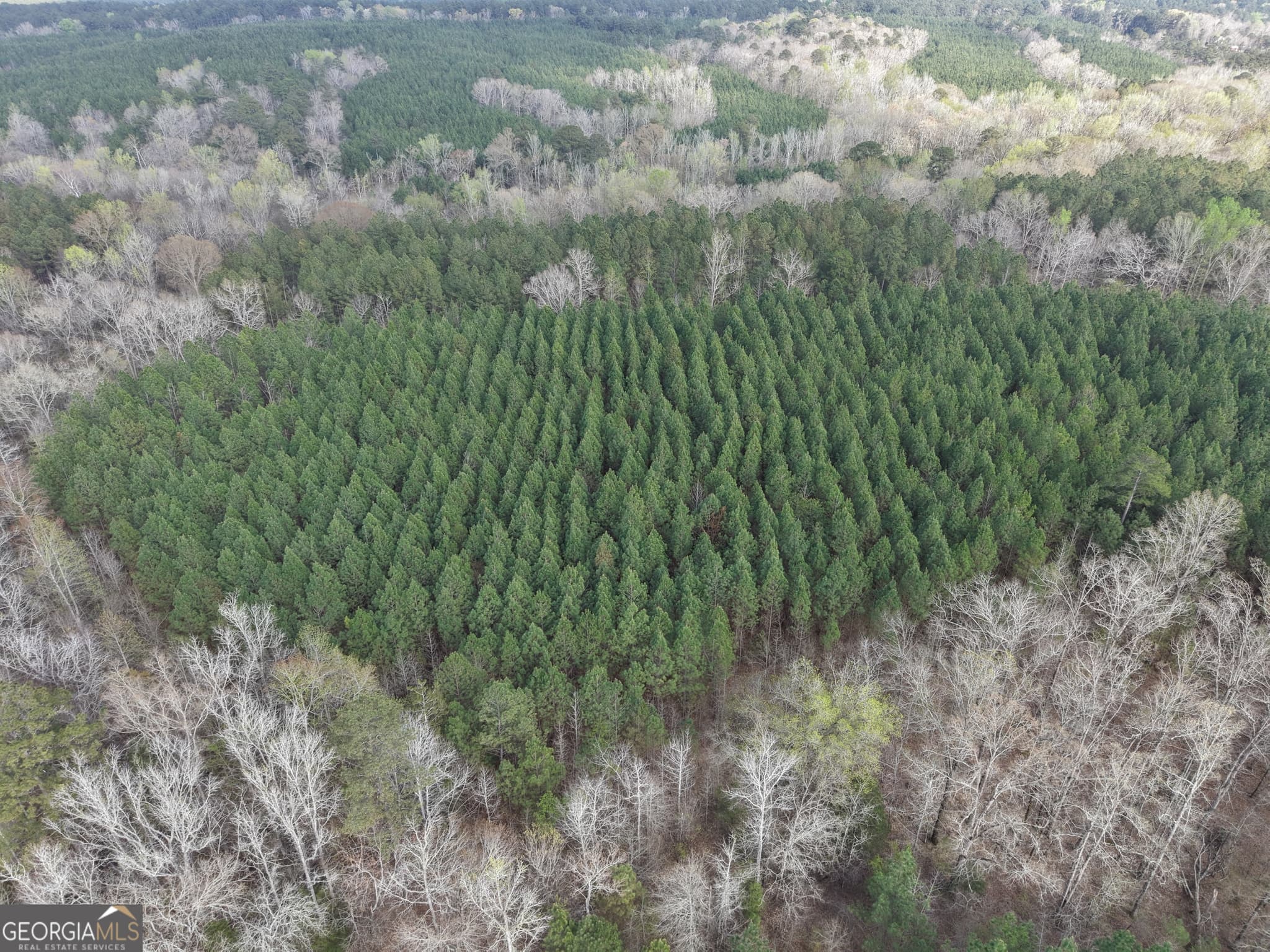 agriculture for sale at 1929 Sharon Road, Crawfordville, GA 30631 — photo 10
