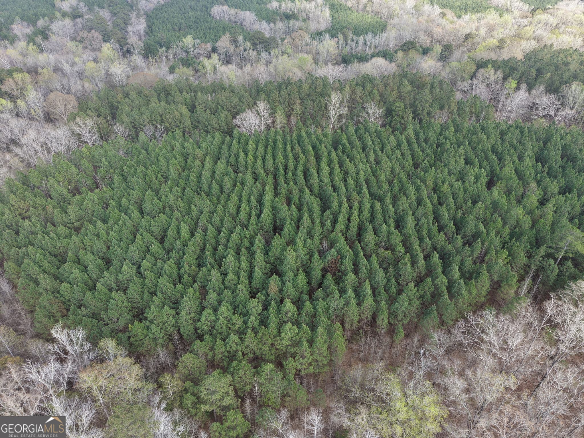 agriculture for sale at 1929 Sharon Road, Crawfordville, GA 30631 — photo 8
