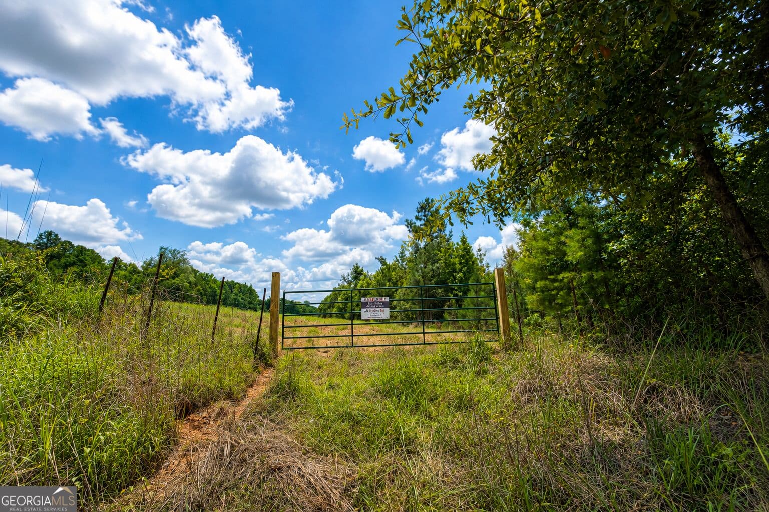residential lot for sale at 29 ACRES Cochran Road, Madison, GA 30650 — photo 7