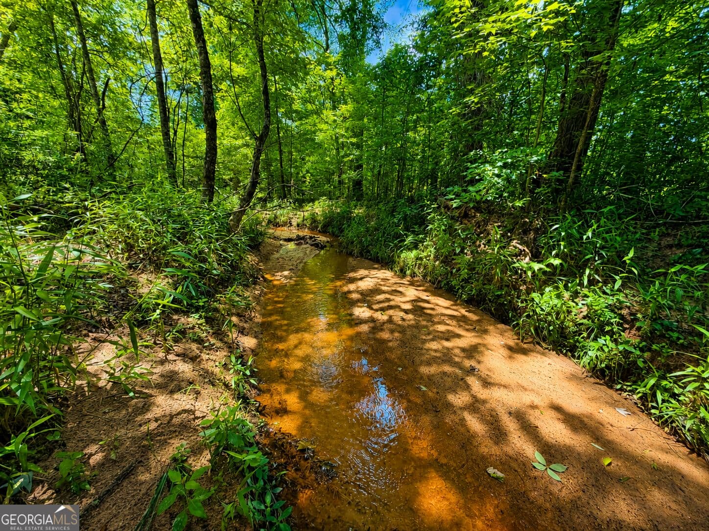 residential lot for sale at 29 ACRES Cochran Road, Madison, GA 30650 — photo 1 of 23
