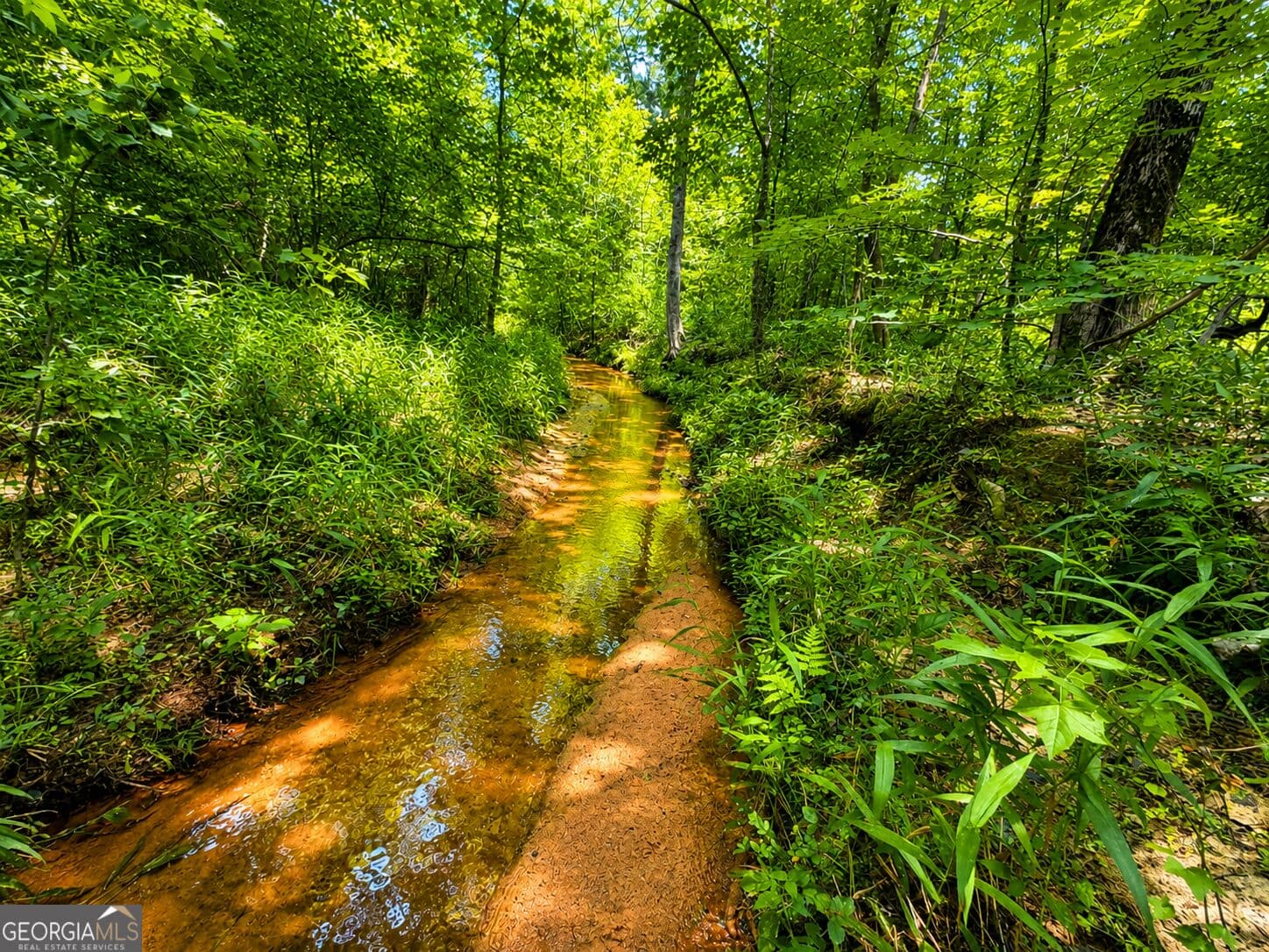 residential lot for sale at 29 ACRES Cochran Road, Madison, GA 30650 — photo 5