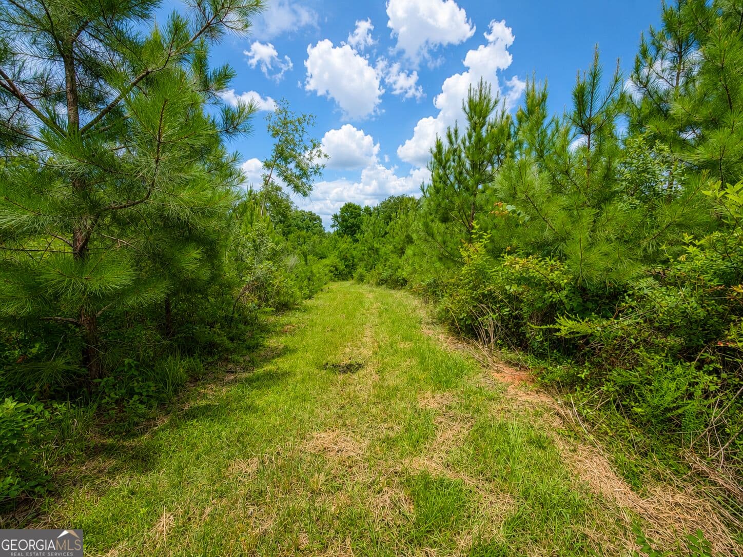 residential lot for sale at 29 ACRES Cochran Road, Madison, GA 30650 — photo 9