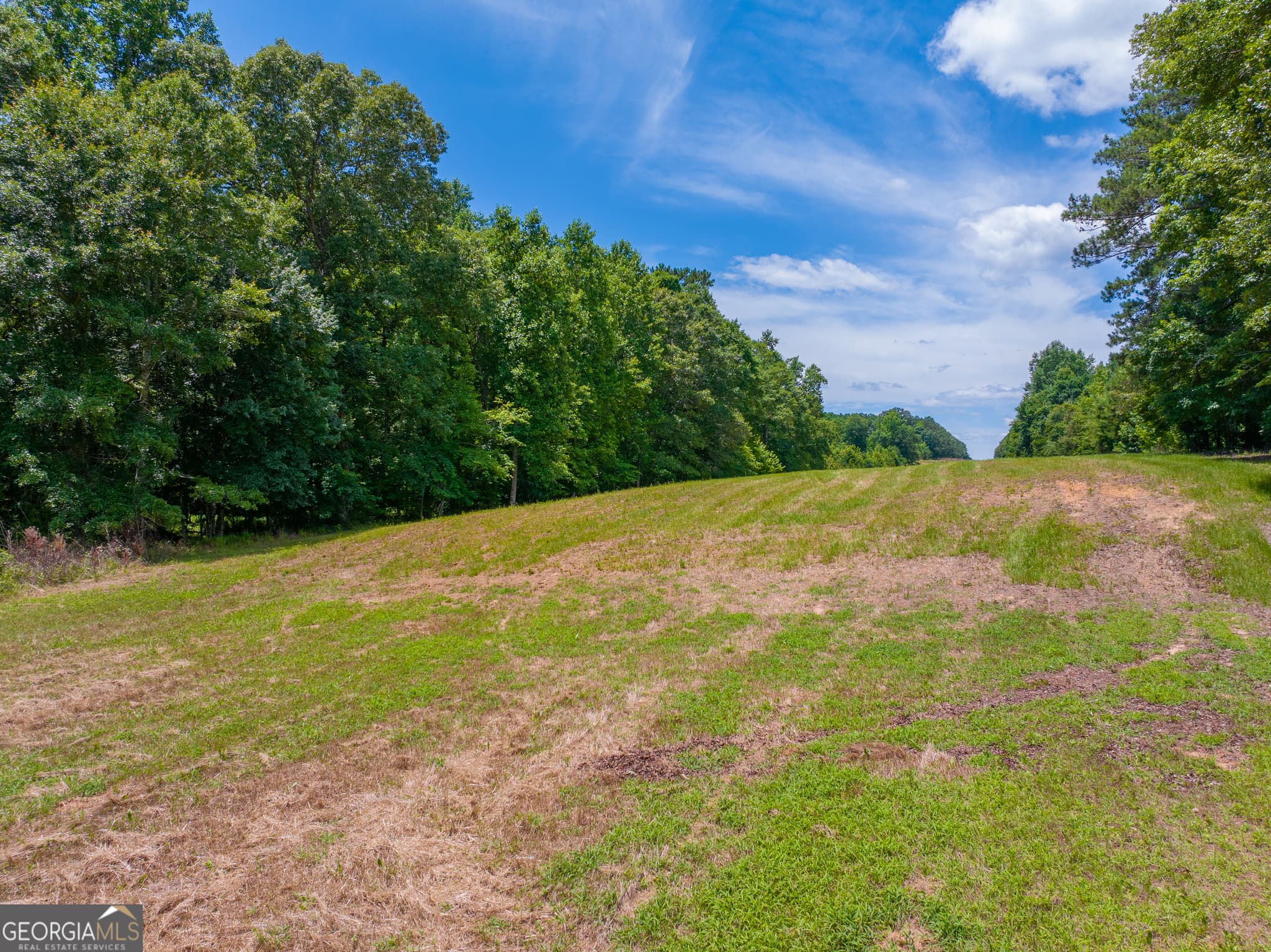 residential lot for sale at 29 ACRES Cochran Road, Madison, GA 30650 — photo 10