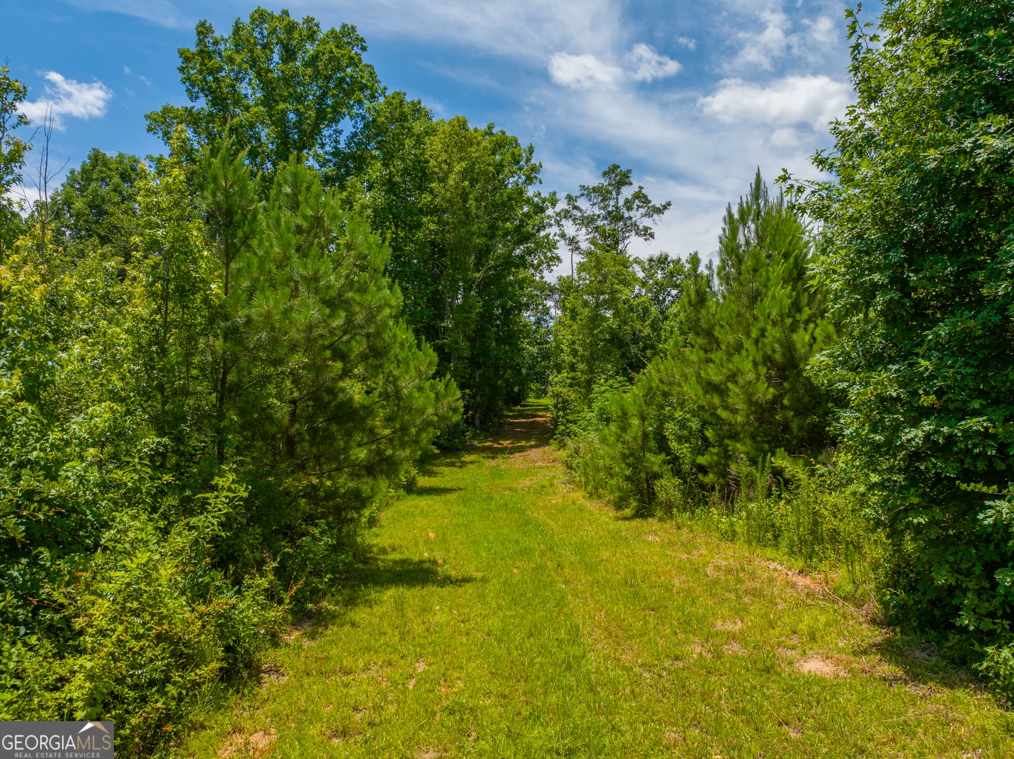 residential lot for sale at 29 ACRES Cochran Road, Madison, GA 30650 — photo 8