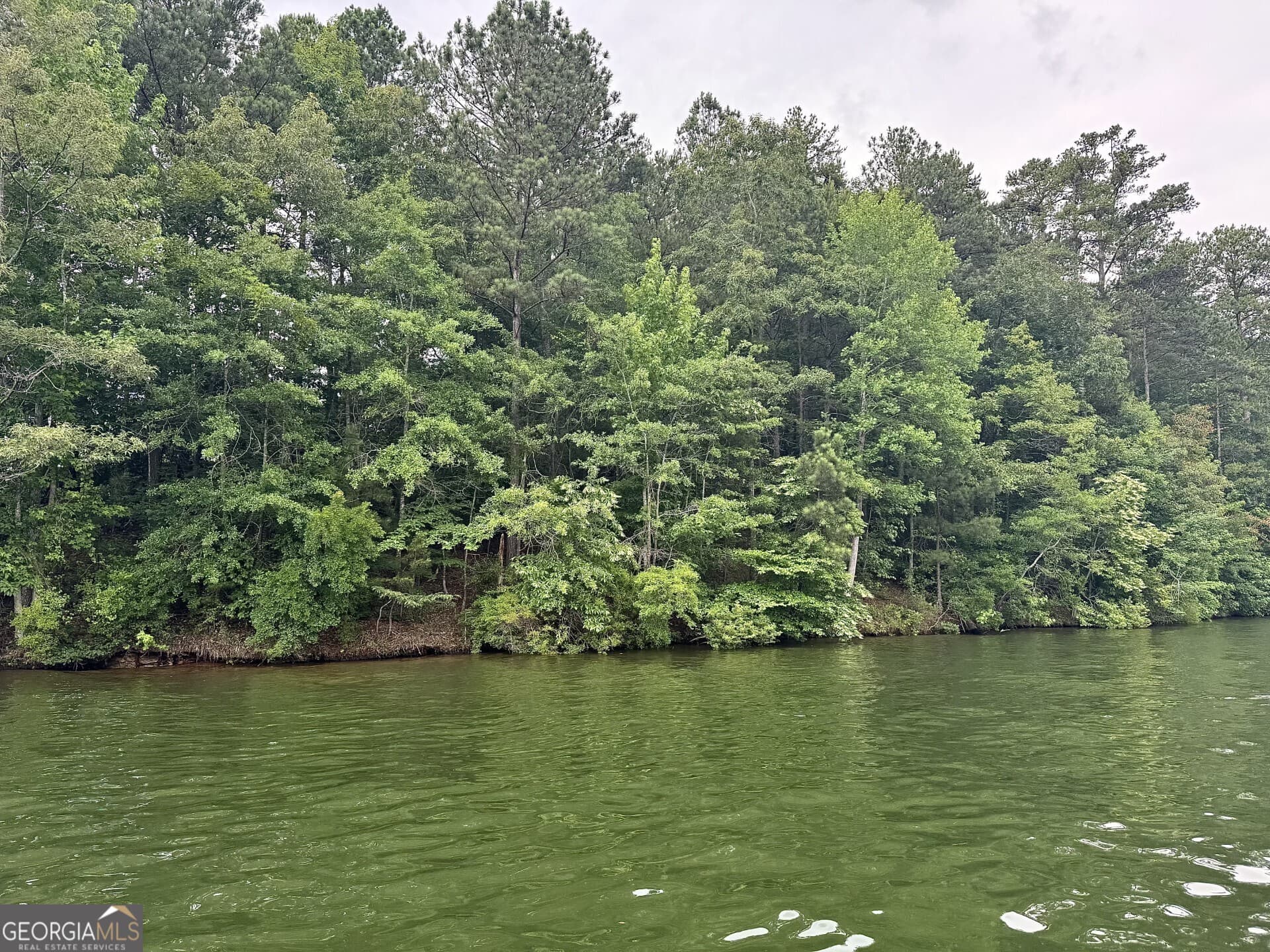 residential lot for sale at 288 Walnut Street, Wedowee, AL 36278 — photo 2