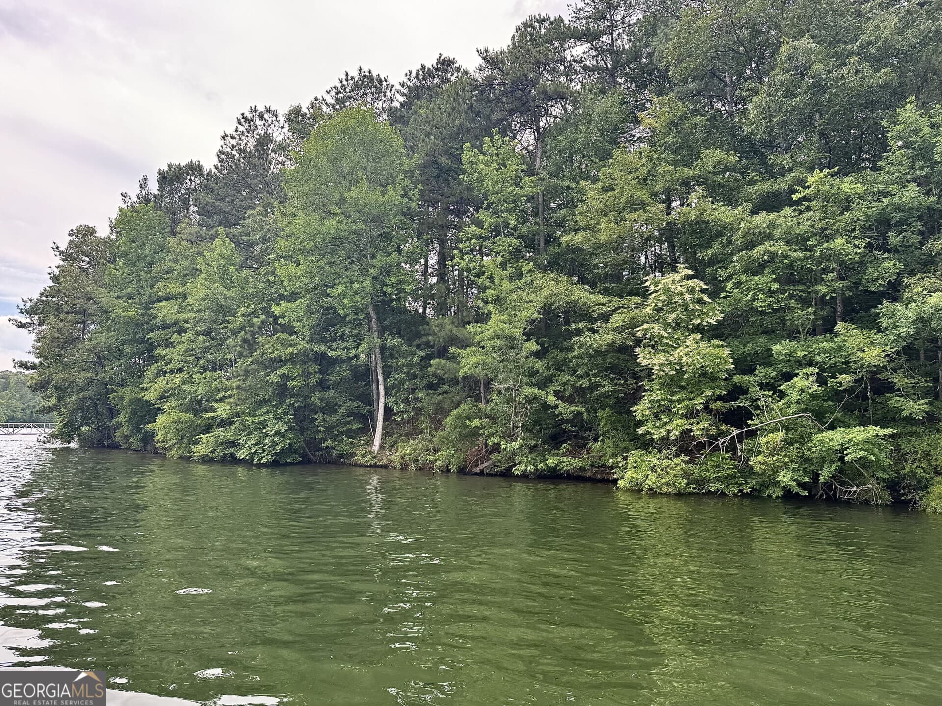 residential lot for sale at 288 Walnut Street, Wedowee, AL 36278 — photo 3